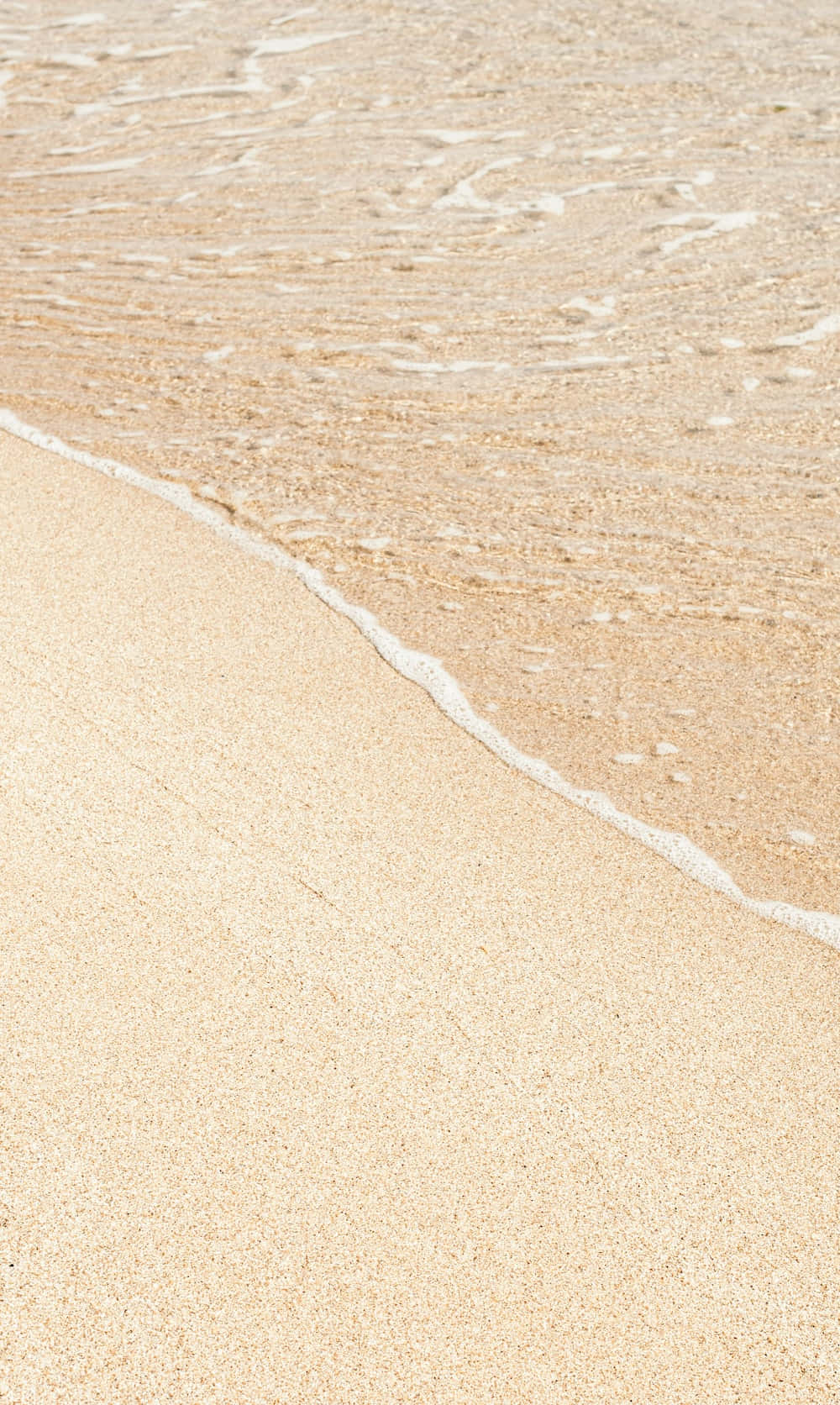 Phong cách Beige nhẹ nhàng thanh lịch Hình nền