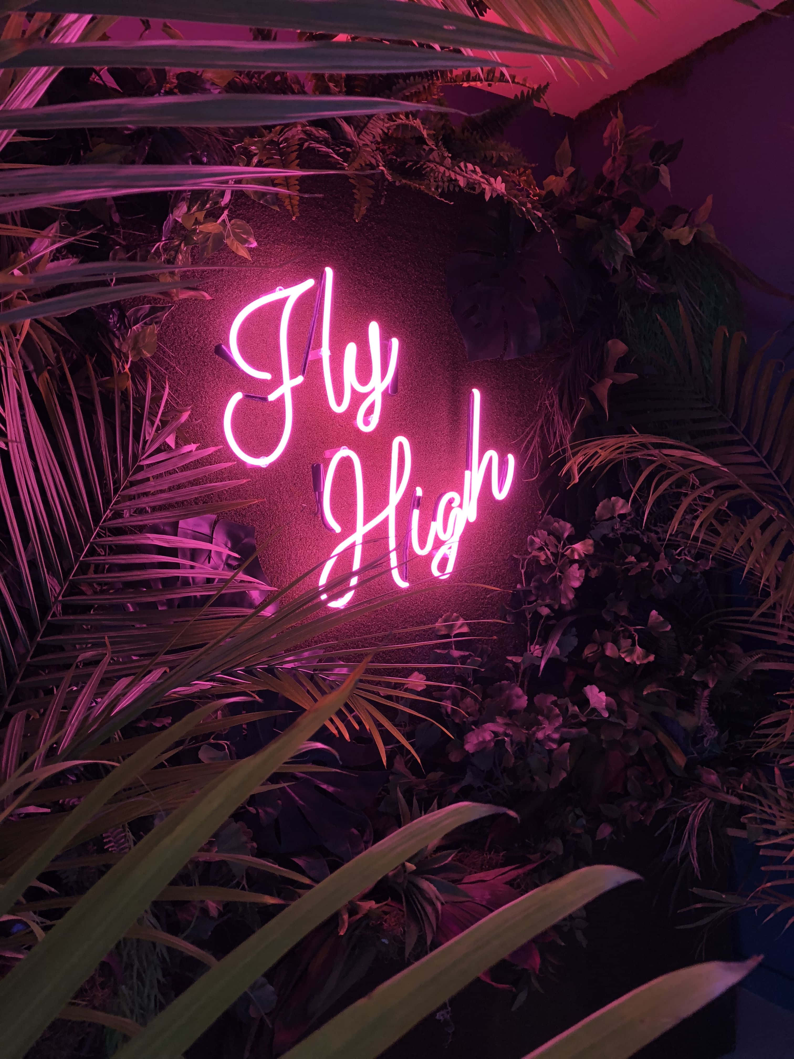 Phong cách neon hồng tươi sáng và nổi bật Hình nền
