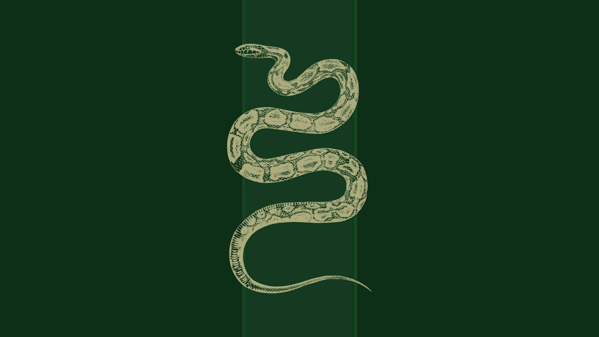 Phong Cách Phòng Ngủ Slytherin Hình nền