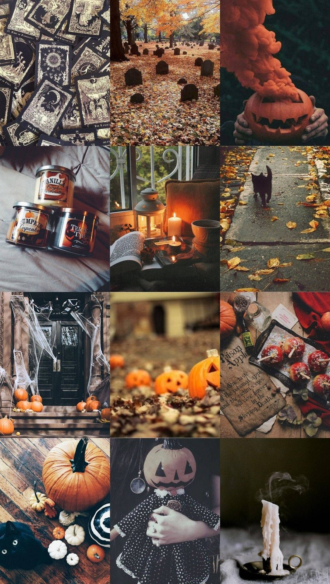 Phong Cách Phù Thủy Halloween Hình nền