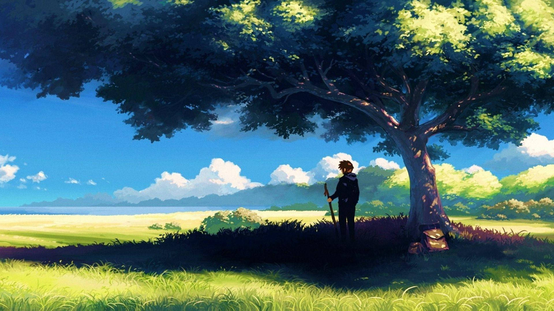 Phong cảnh anime chàng trai dưới gốc cây Hình nền
