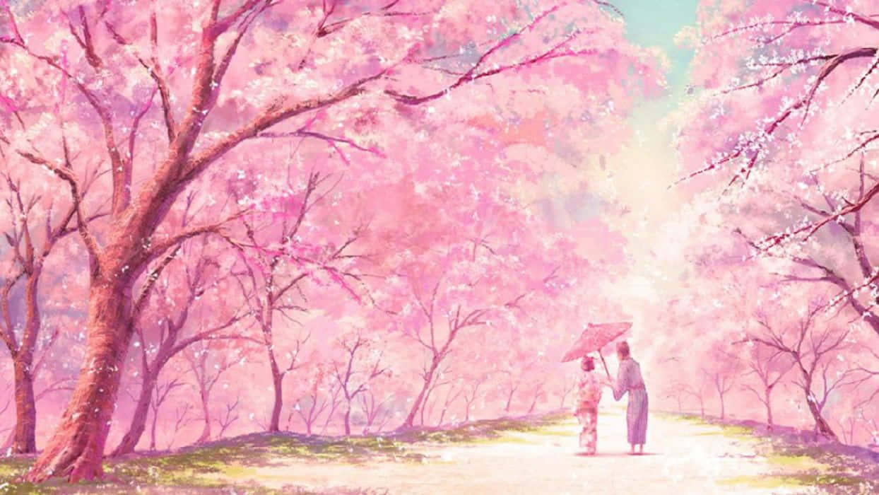 Phong Cảnh Anime Hoa Anh Đào Mẹ Con Trên Đường Hình nền