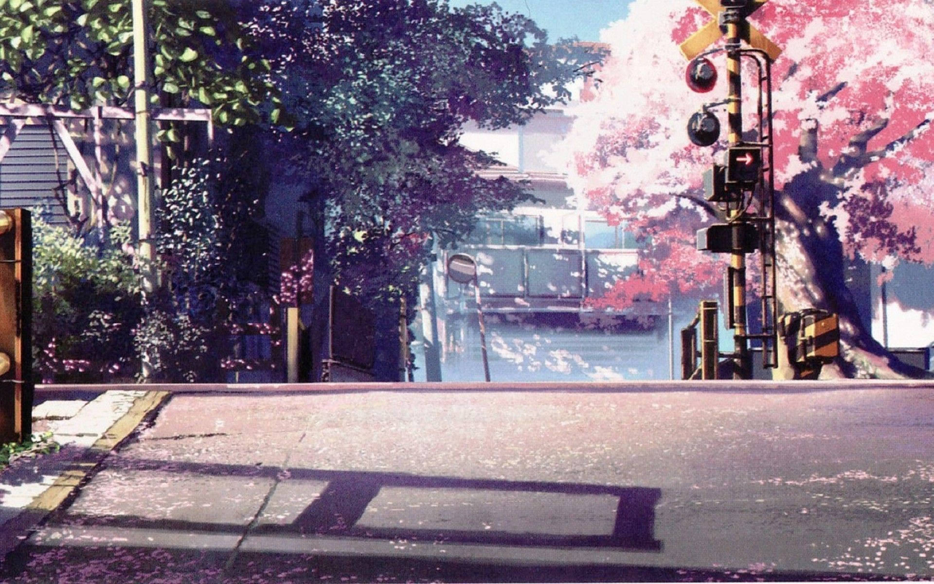 Phong cảnh Anime Hoa anh đào Hình nền