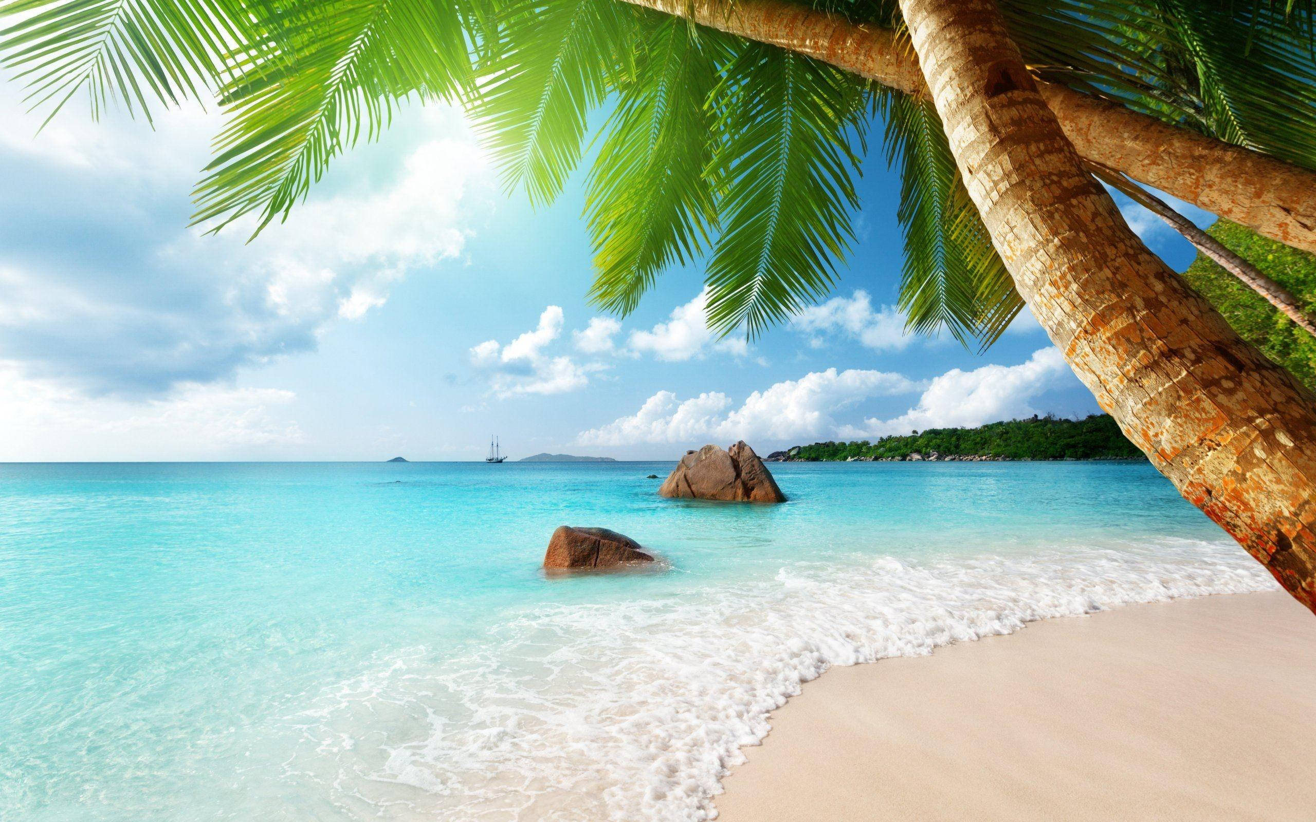 Phong cảnh biển Anse Lazio Hình nền