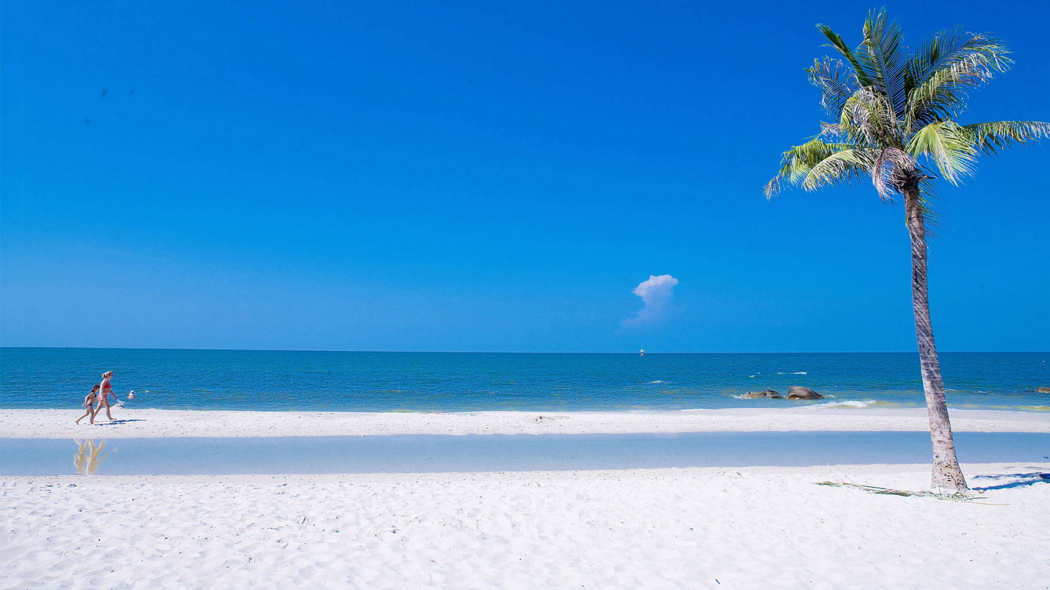 Phong cảnh biển thẩm mỹ Hình nền