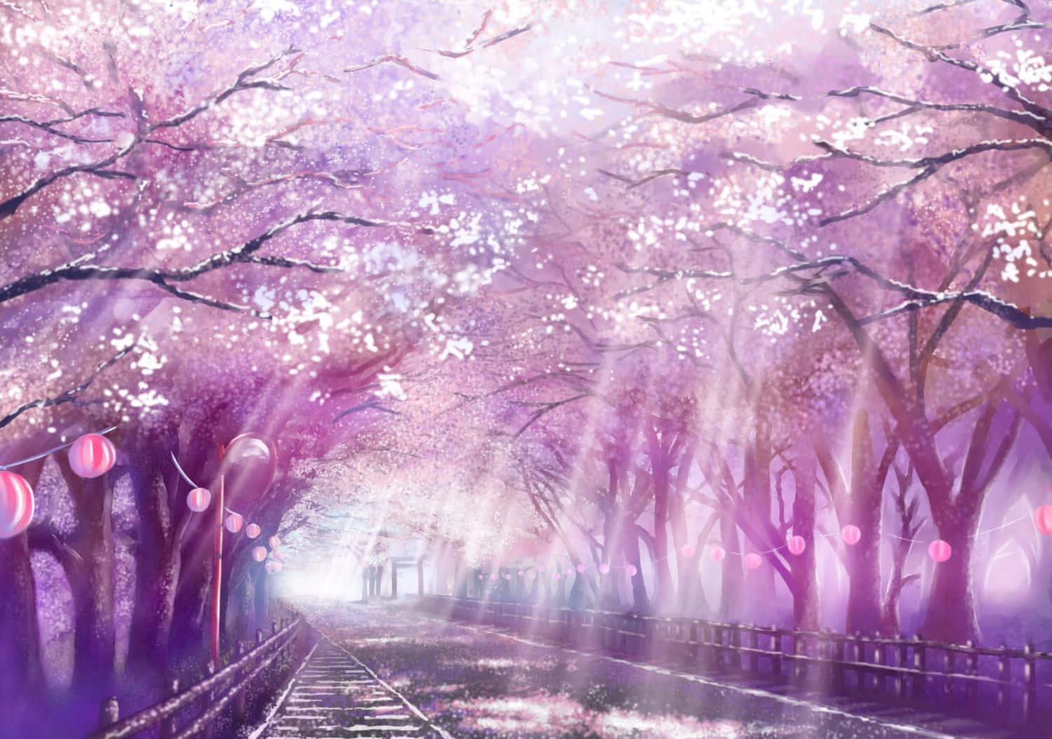 Phong cảnh cây anh đào hồng anime thẩm mỹ Hình nền