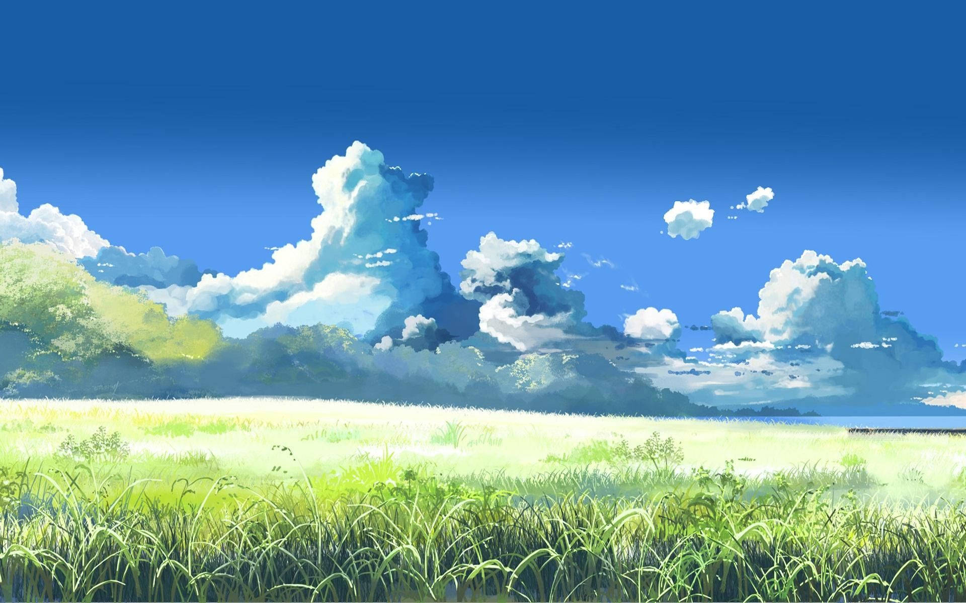 Phong cảnh đồng cỏ Anime Hình nền