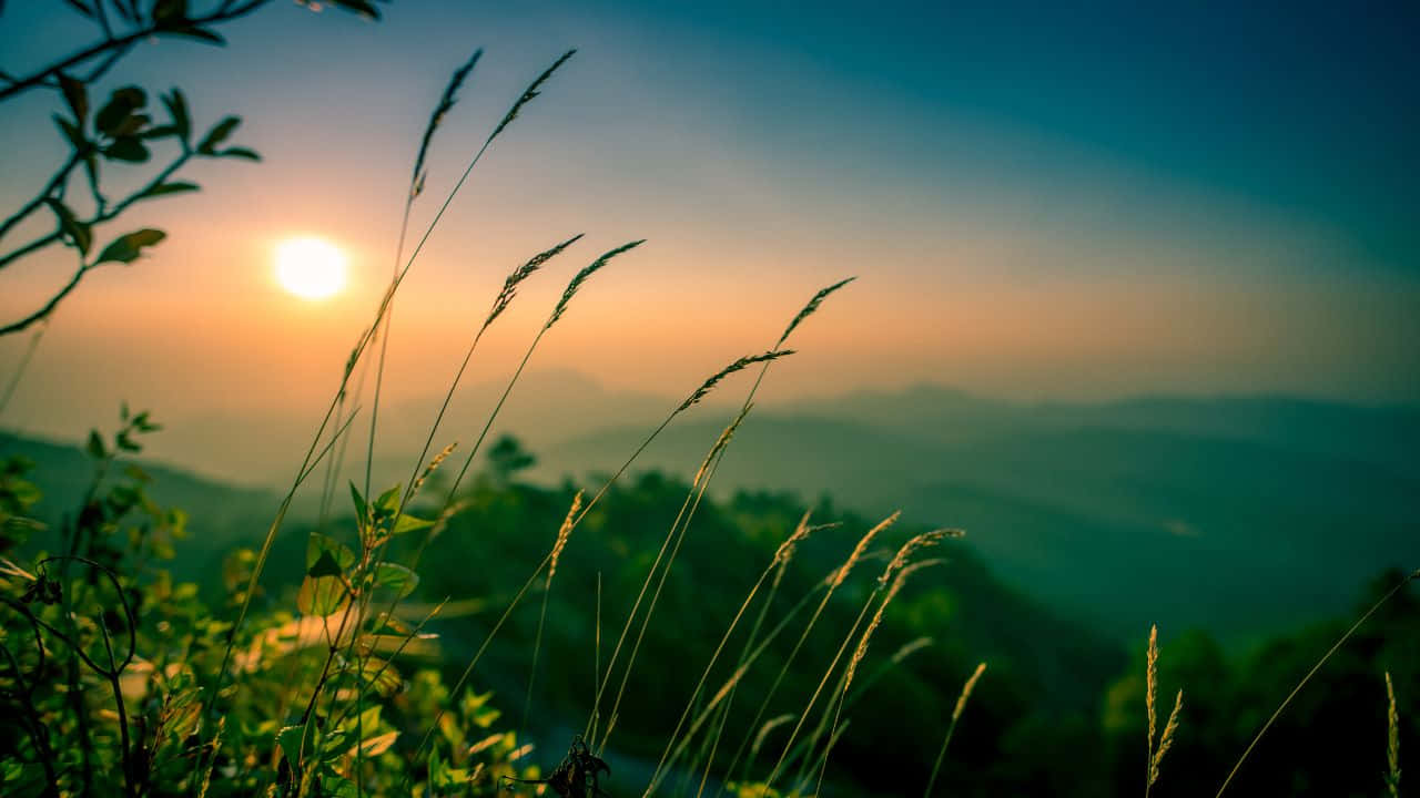Phong cảnh thanh bình với đồi lượn sóng và hoàng hôn tuyệt đẹp Hình nền