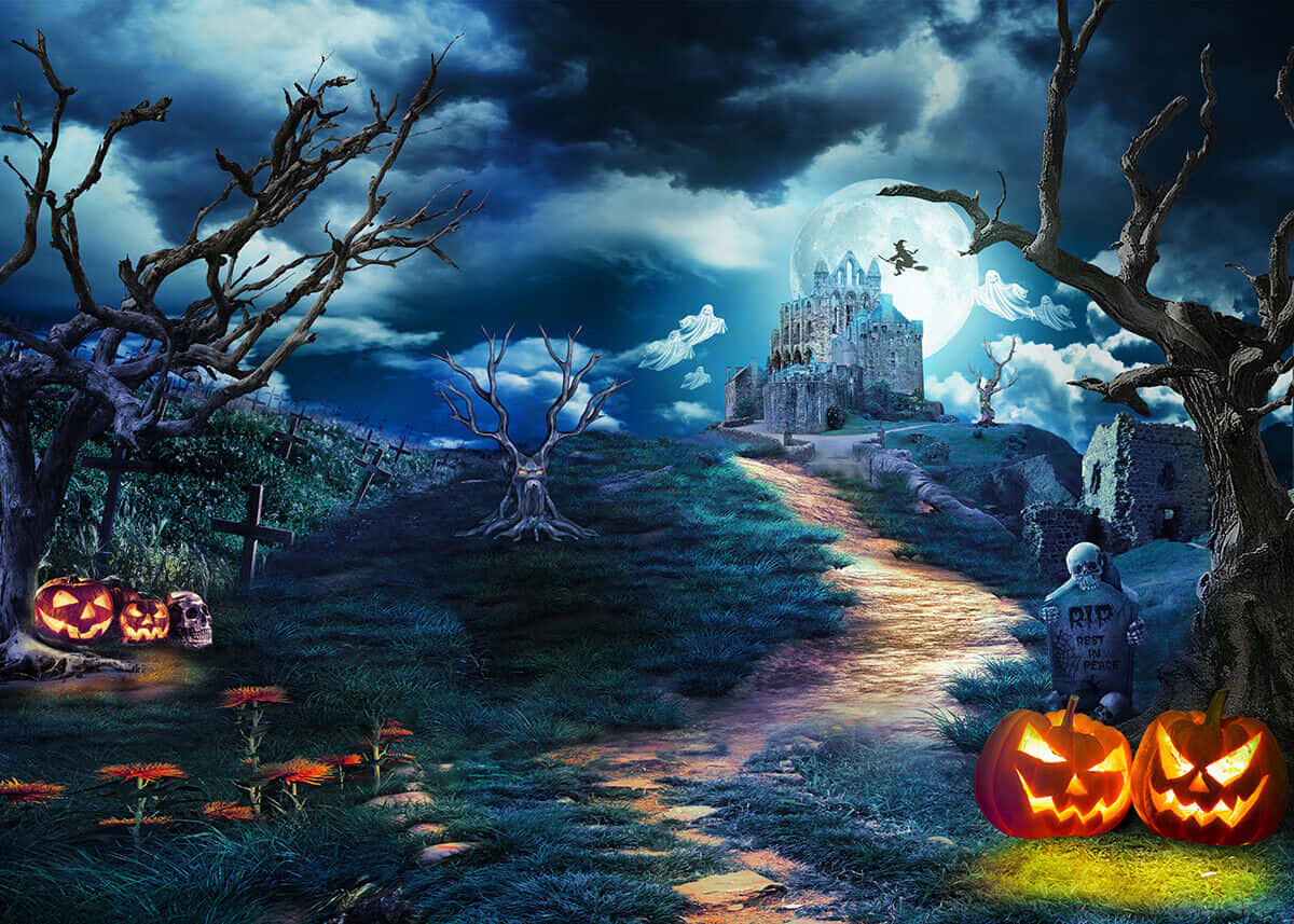 Phông nền Halloween Bí ngô Bên đường Hình nền