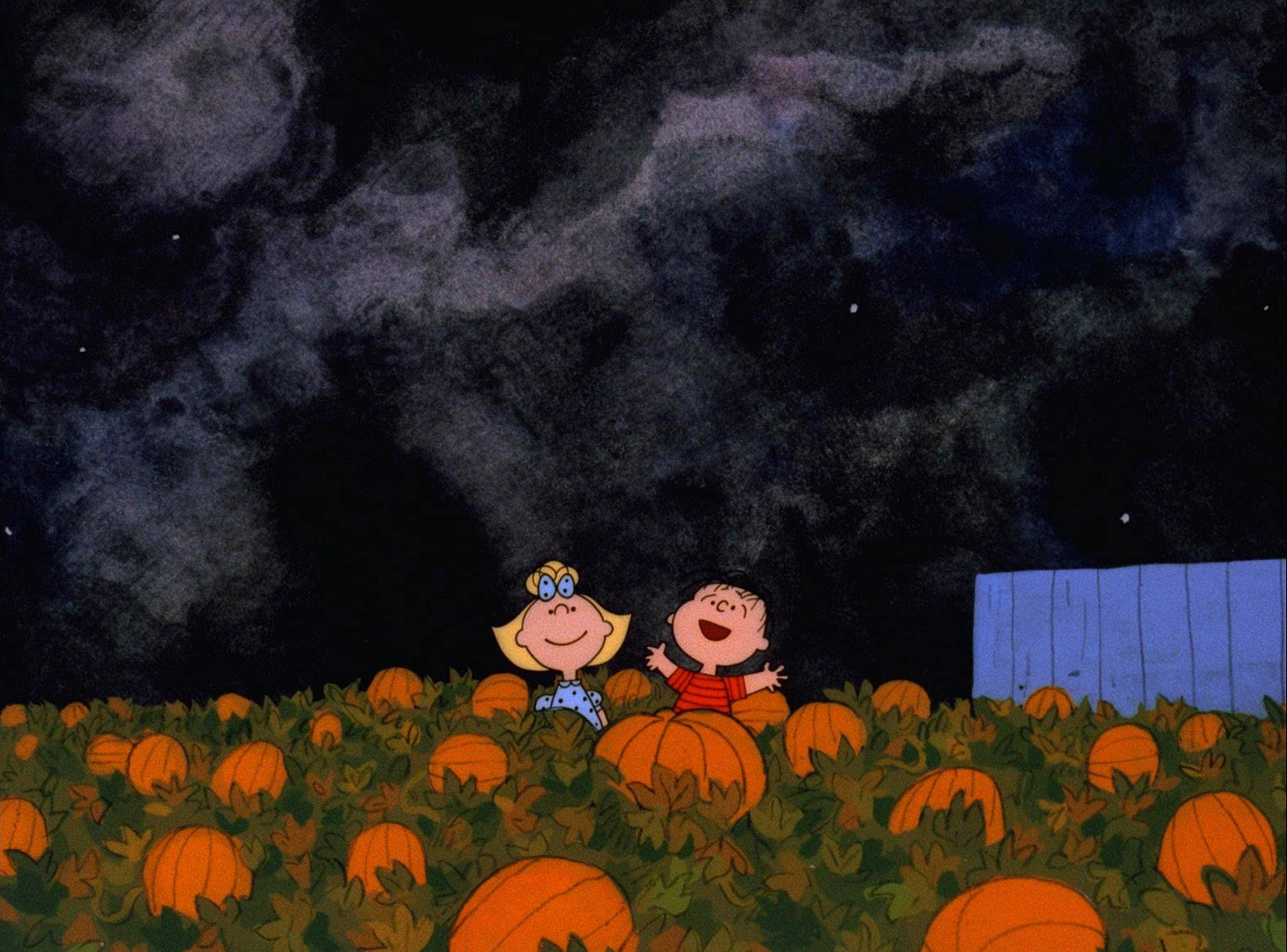 Phông Nền Halloween Thẩm Mỹ Vườn Bí Ngô Nhân Vật Peanuts Hình nền