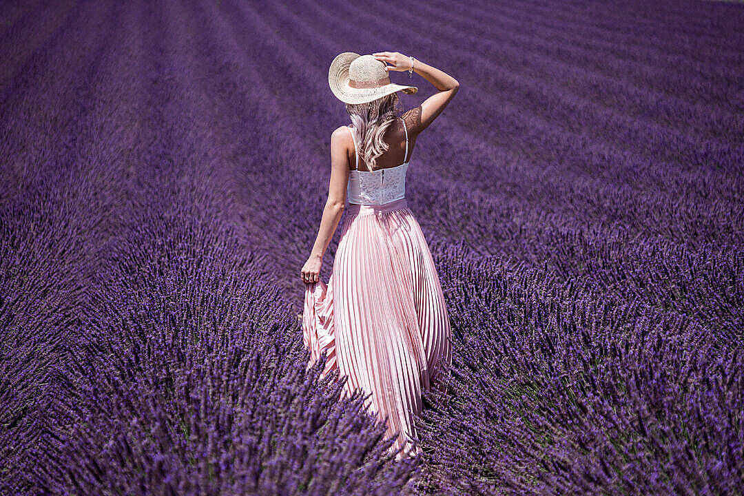 Phụ Nữ Thẩm Mỹ Lavender Trong Cánh Đồng Hình nền
