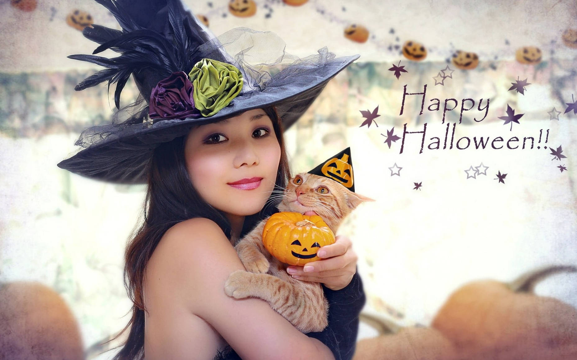 Phù thủy Halloween dễ thương với mèo Hình nền