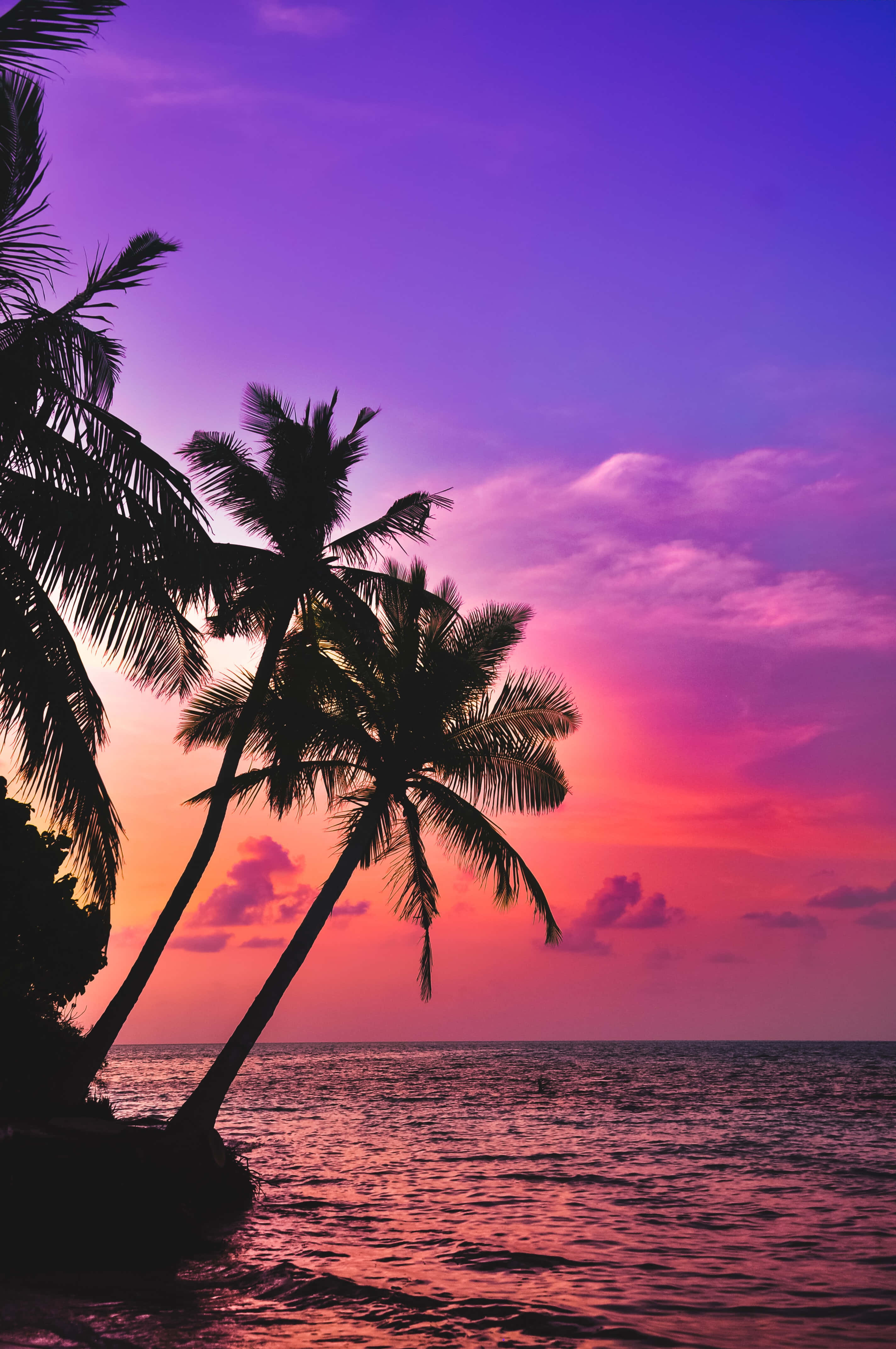 Pink Tropical Island Sunset iPhone Background Hình nền