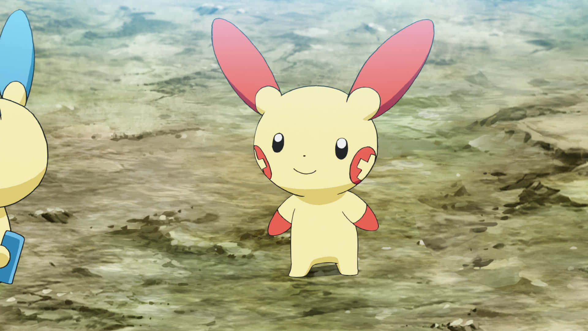 Plusle trên đất liền Hình nền