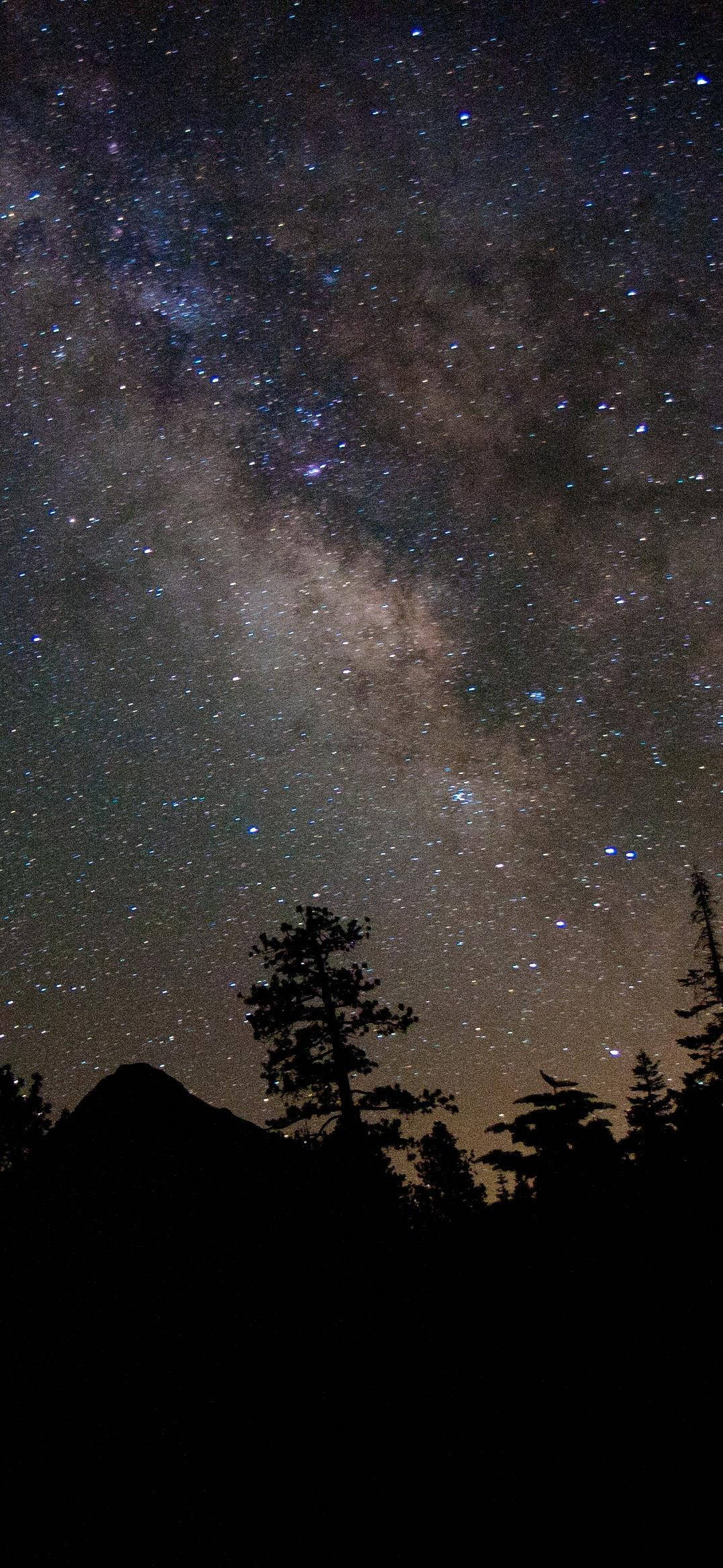 Pretty Galaxy Mountain Forest Hình nền