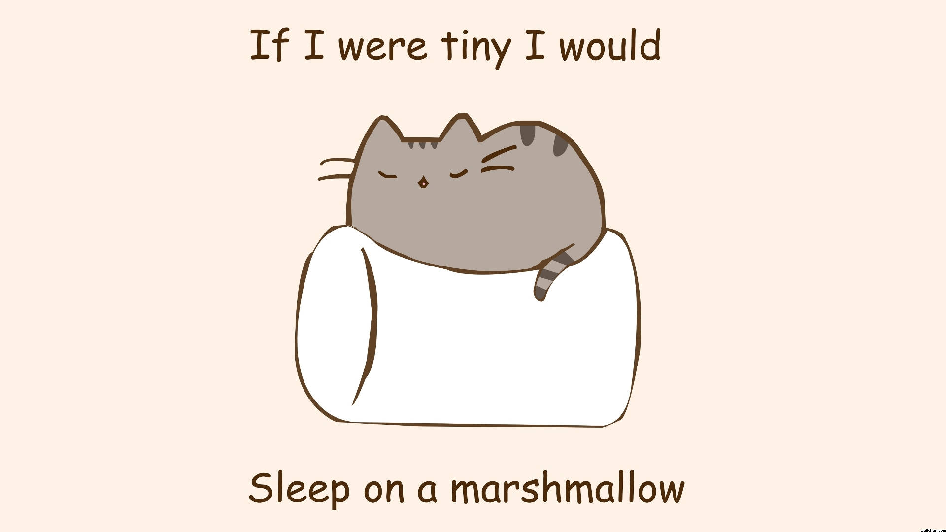 Pusheen Ngủ Trên Kẹo Dẻo Hình nền