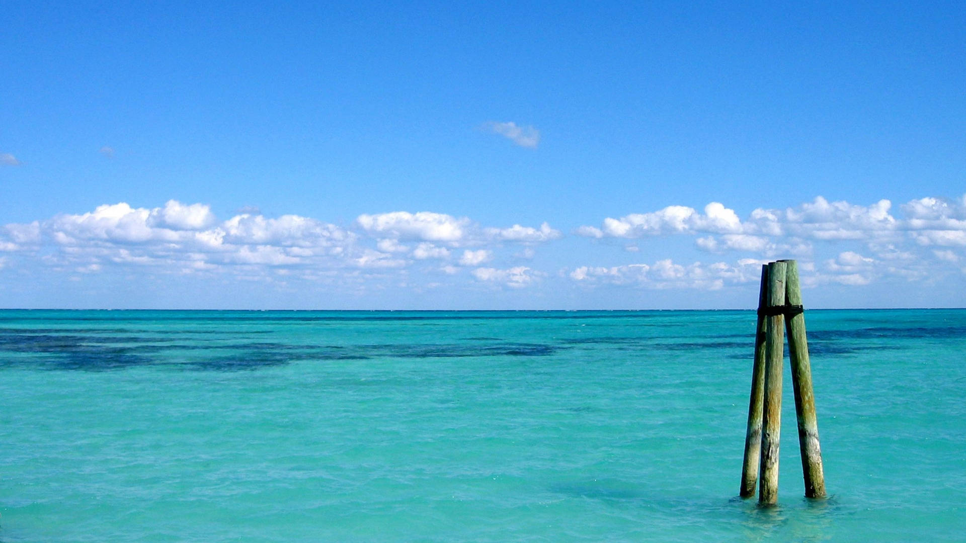 Quang cảnh đại dương Bahamas Hình nền