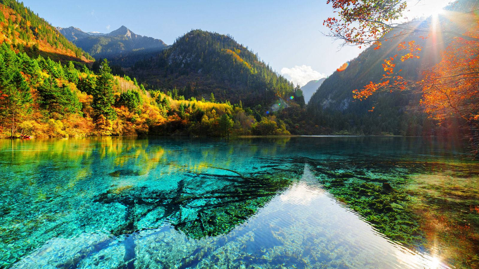 Quang cảnh hồ nước tuyệt đẹp này cho thấy làn nước trong vắt và một phong cảnh đẹp như tranh vẽ Hình nền