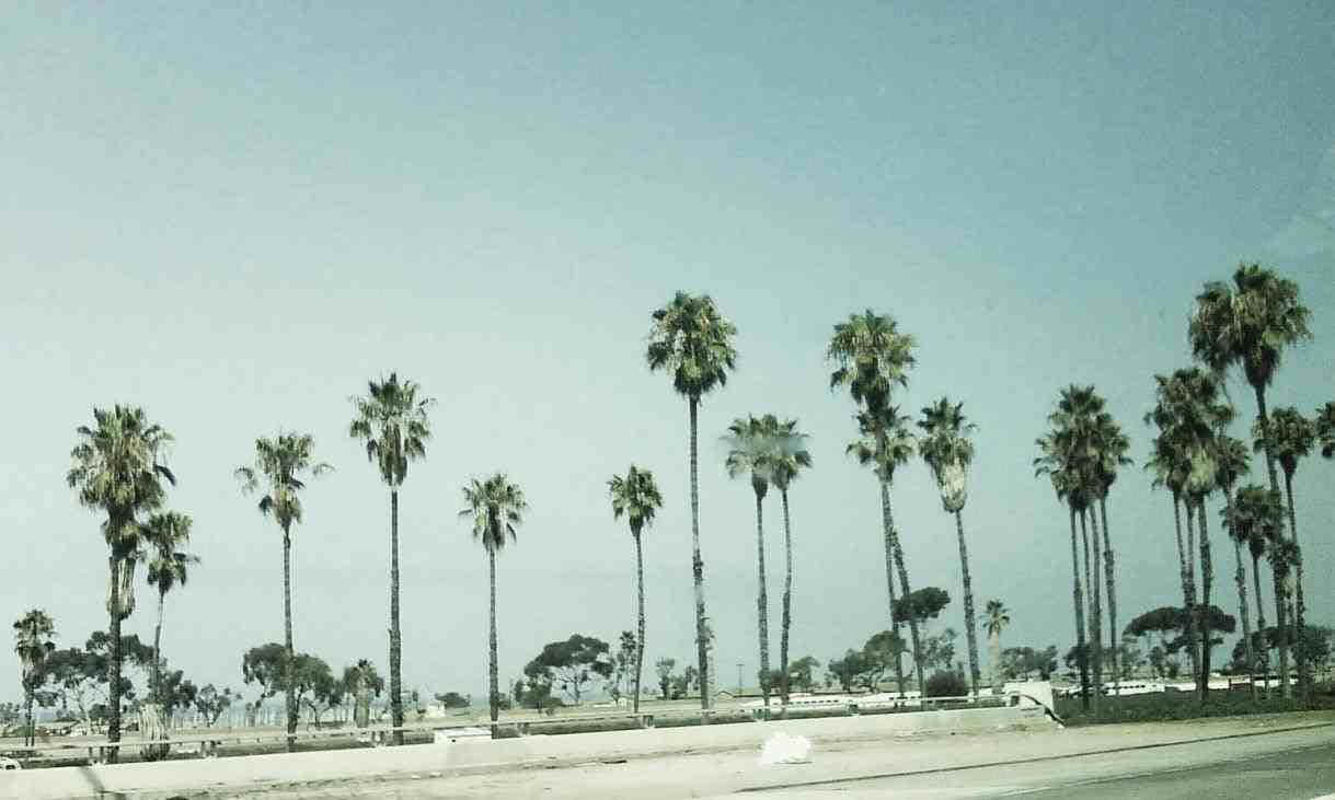 Quang cảnh hùng vĩ bờ biển California Hình nền