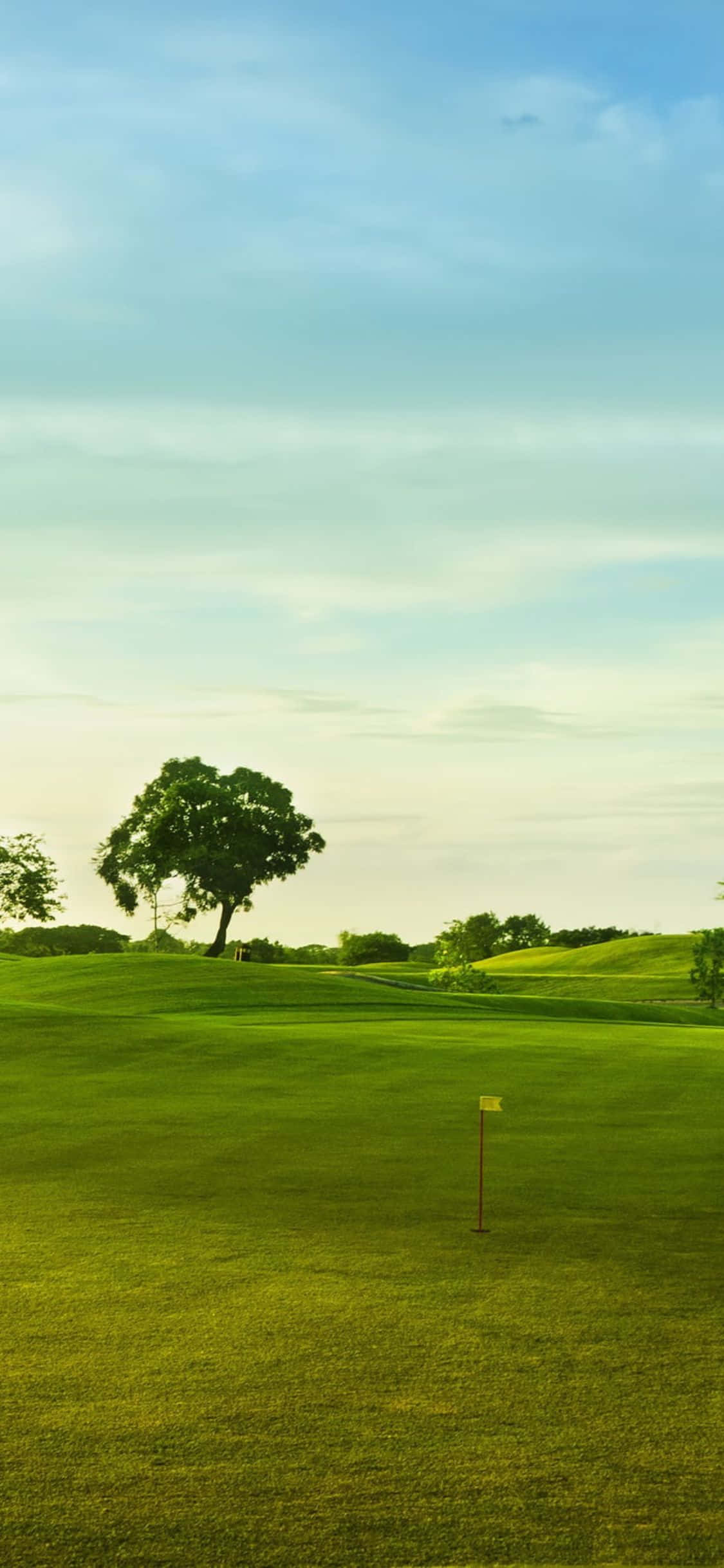 Quang cảnh sân golf thanh bình với iPhone X Hình nền
