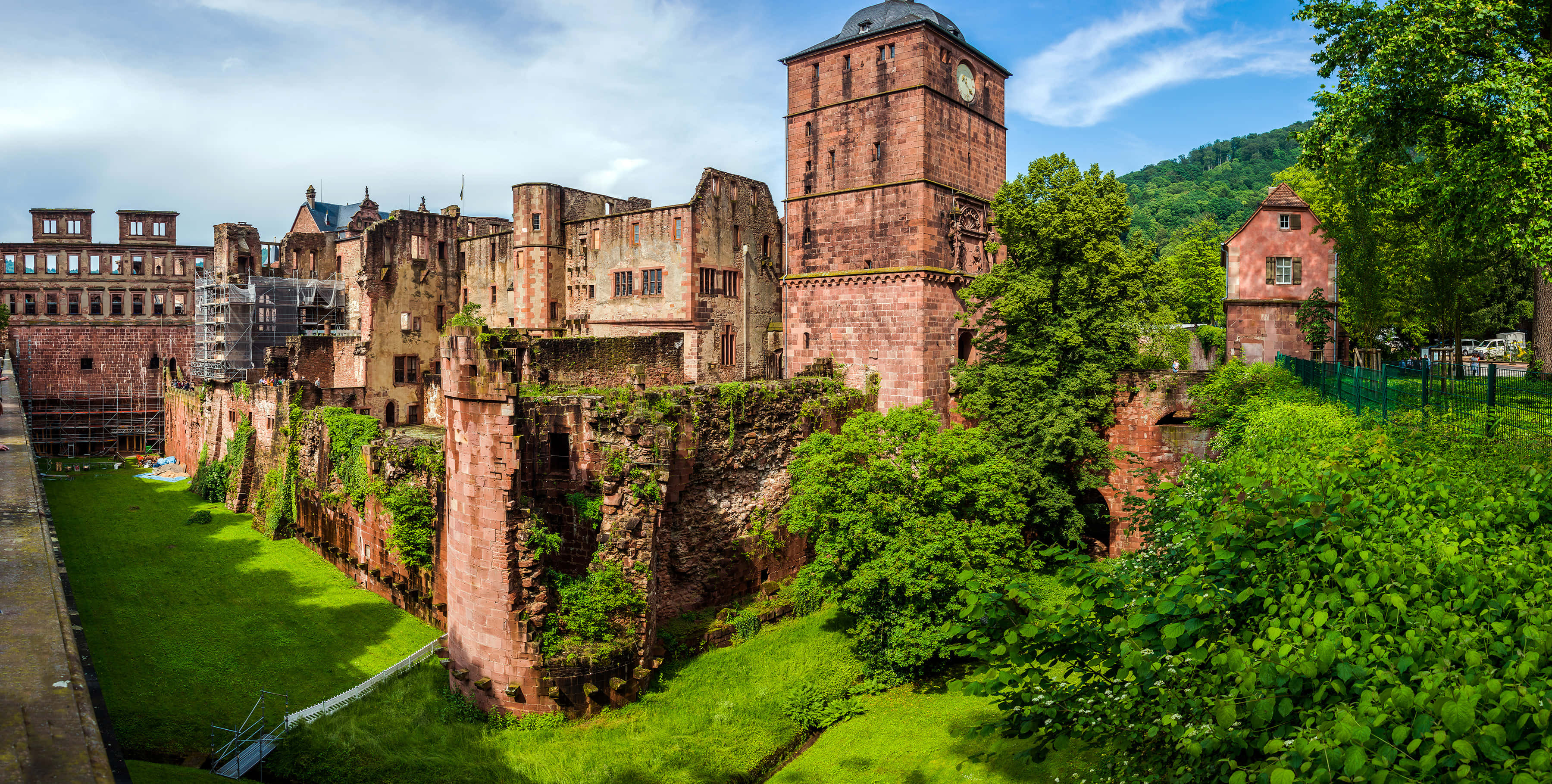 Rêu Xanh Lâu Đài Heidelberg Hình nền