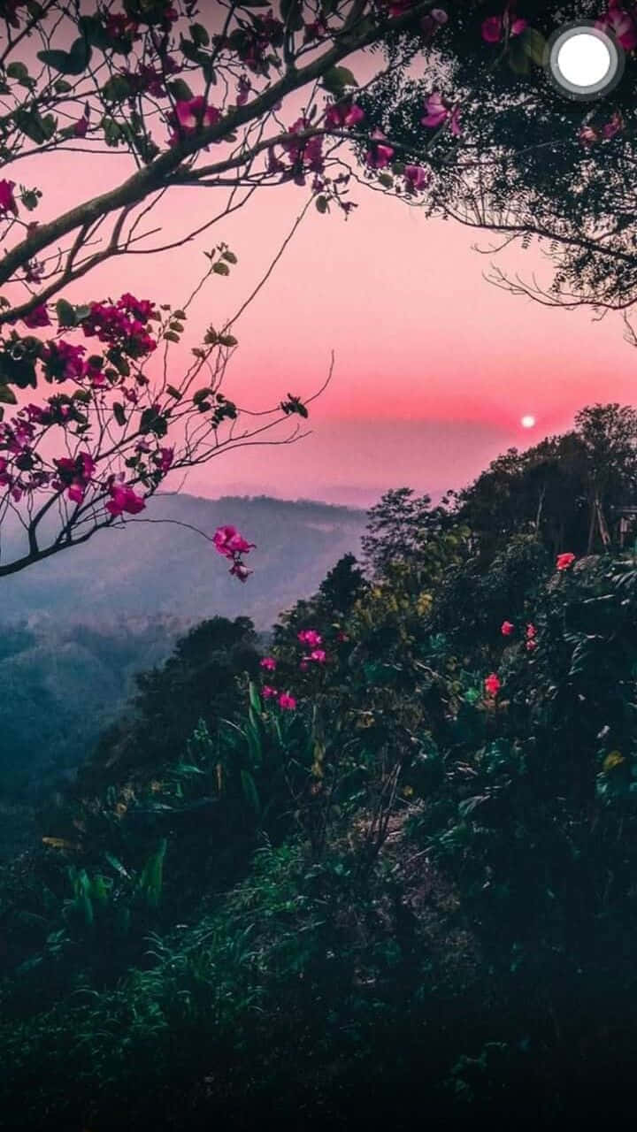 Điện thoại thẩm mỹ thiên nhiên