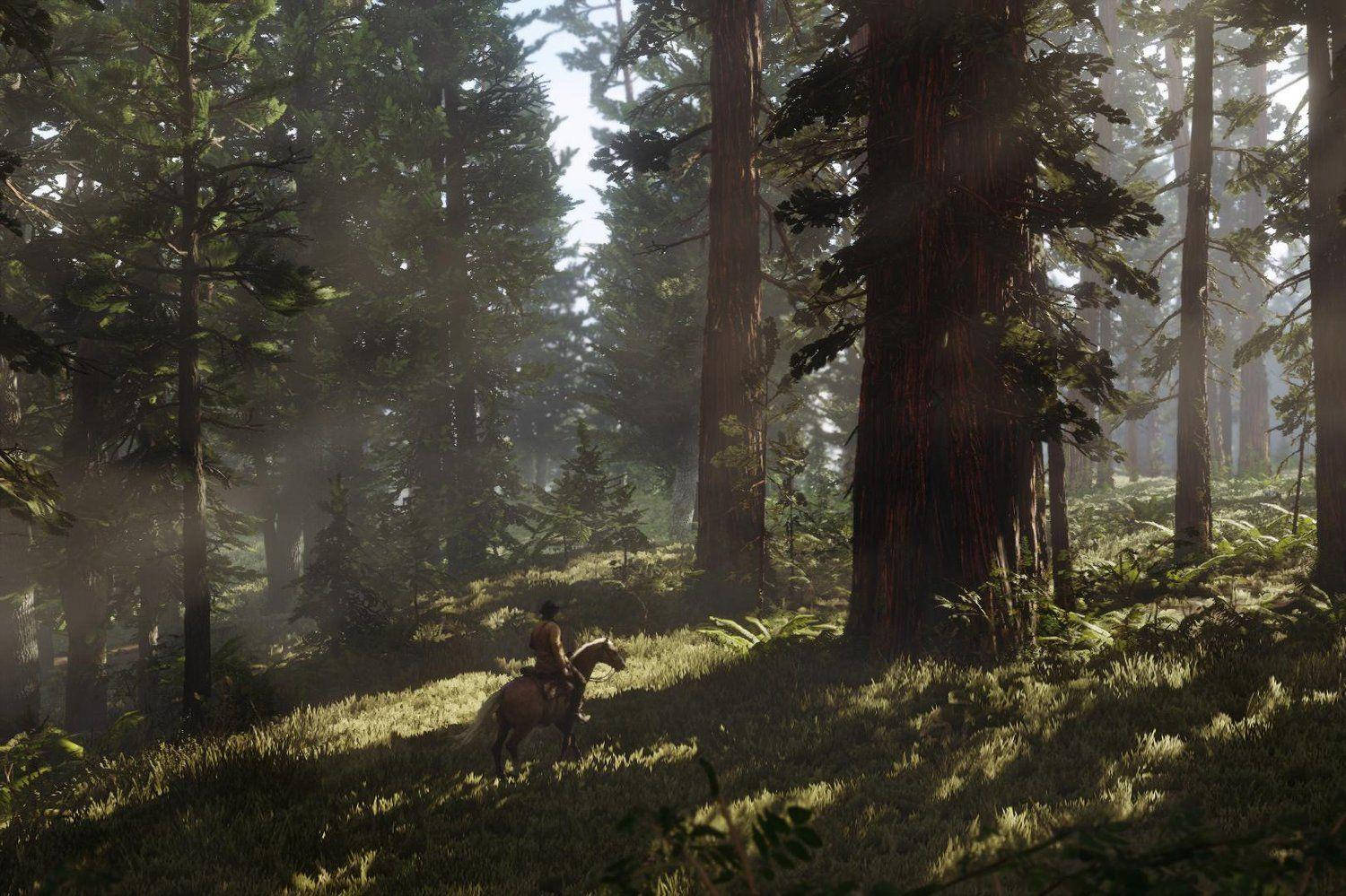 Rừng Rậm Red Dead Redemption 2 4K Hình nền