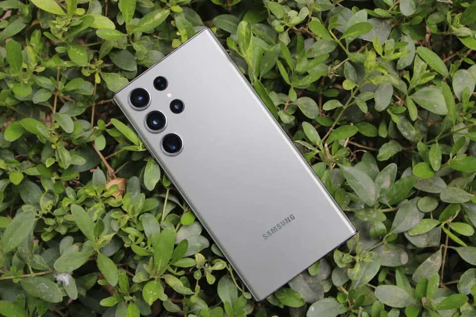 Samsung S23 Ultra trên nền lá xanh Hình nền