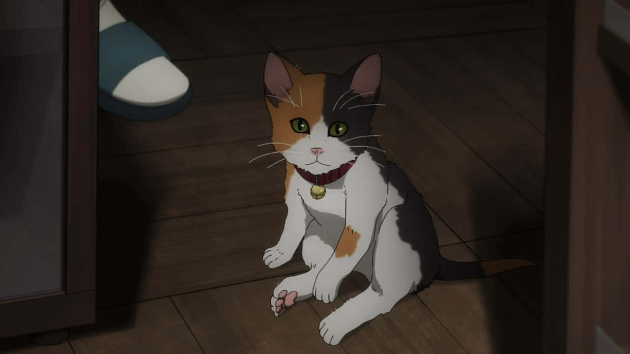 Sẵn sàng mỉm cười với chú Mèo Anime dễ thương này Hình nền