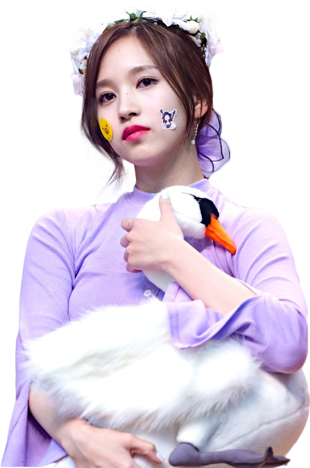 Sao Kpop Cùng Thiên Nga Bông Hình nền