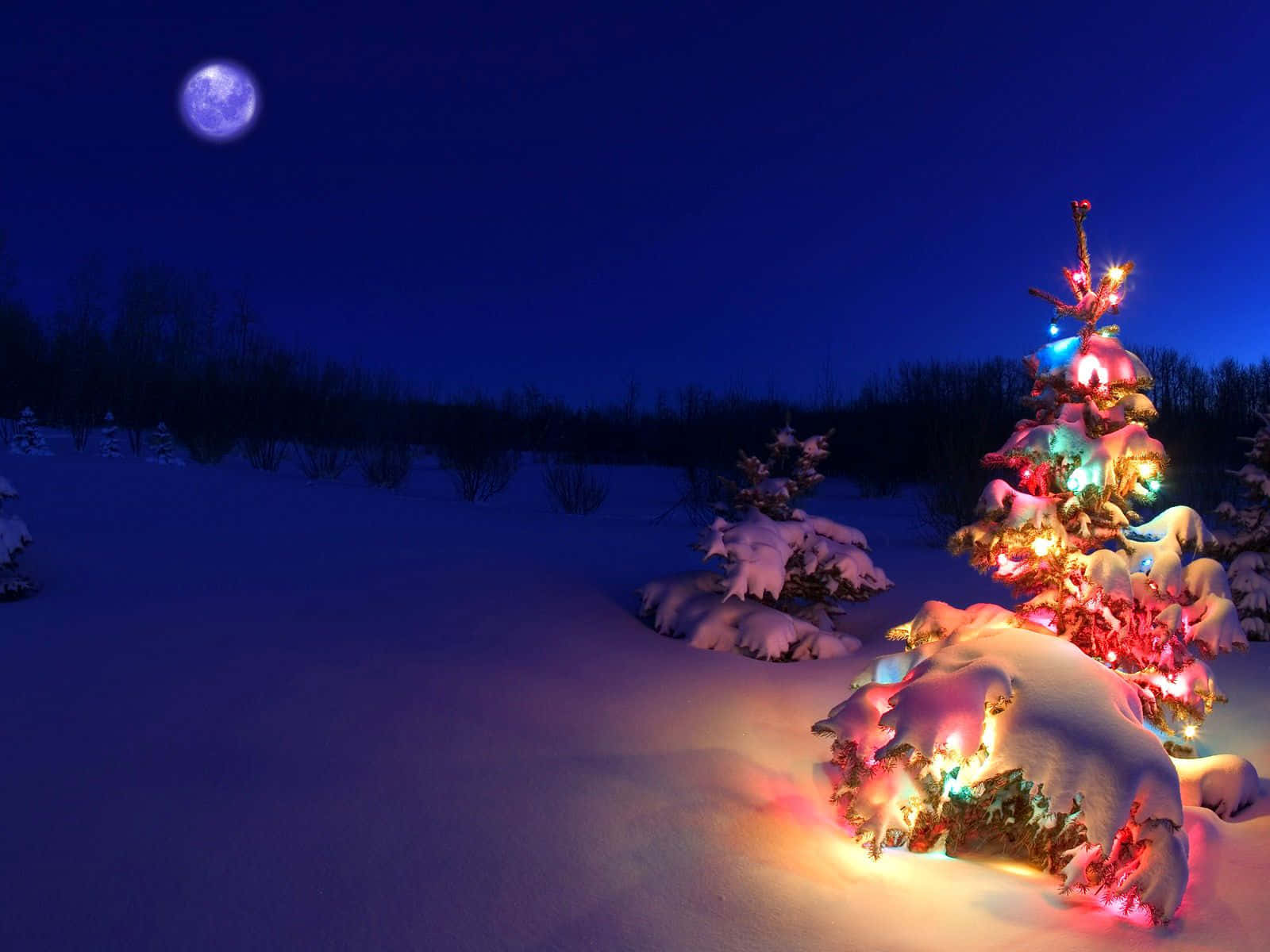 Scrooge trong câu chuyện Giáng sinh kinh điển 'A Christmas Carol' biến đổi Hình nền