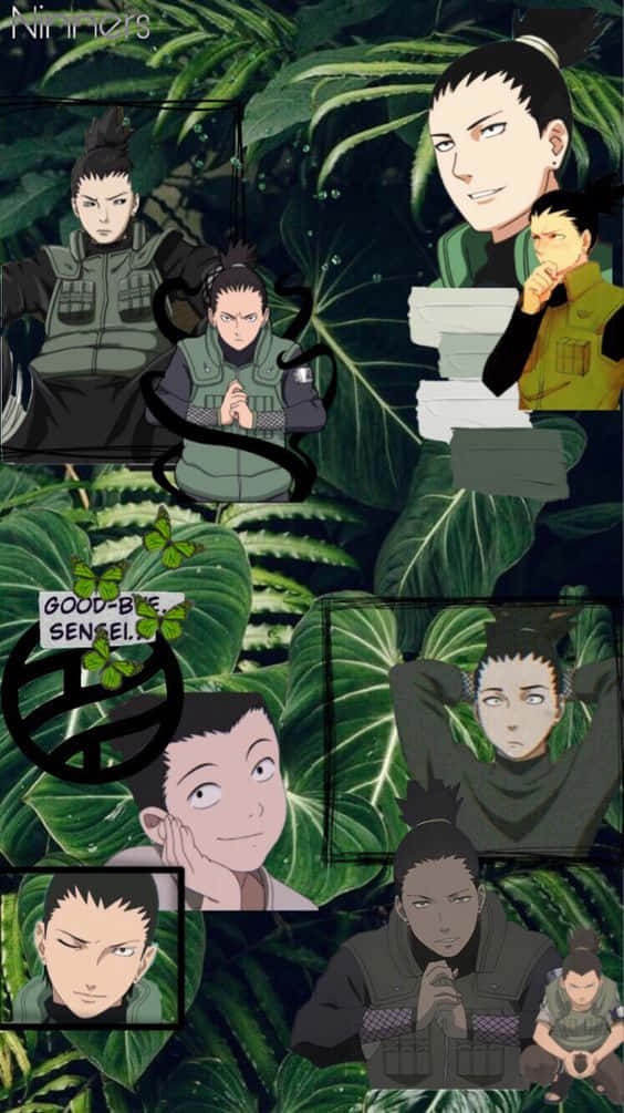 Shikamaru Lá Cây Thẩm Mỹ Hình nền