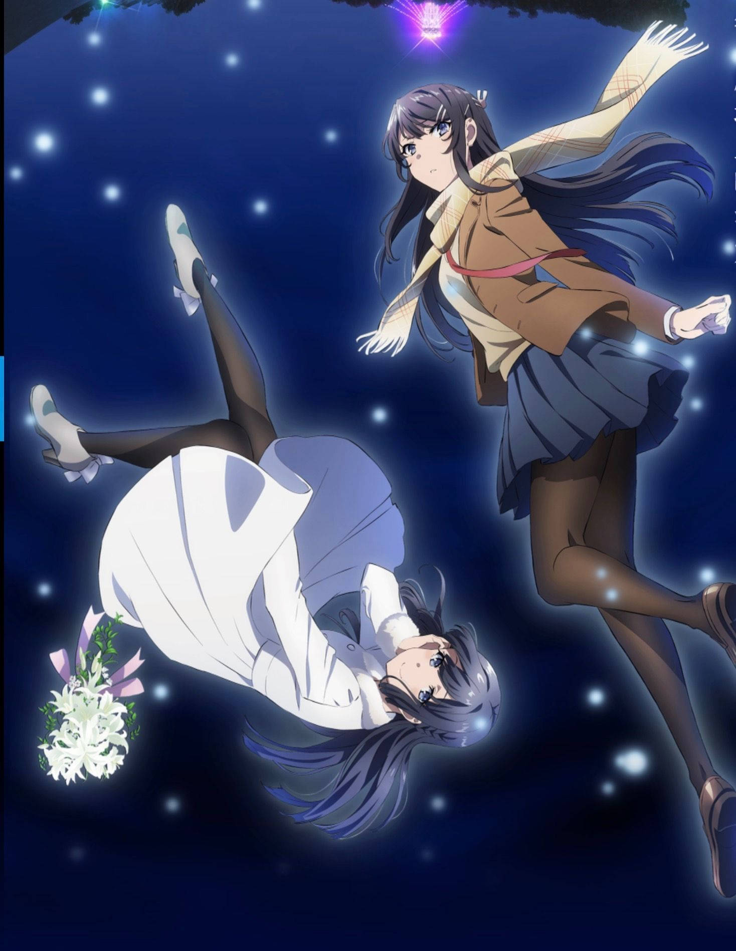 Shoko và Mai trong Rascal Does Not Dream Of Bunny Girl Senpai Hình nền