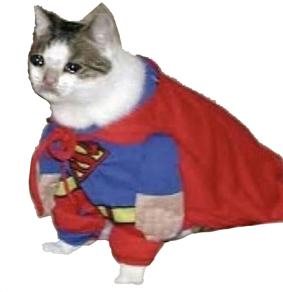 Siêu Mèo_ Anh Hùng_ Meme.PNG Hình nền