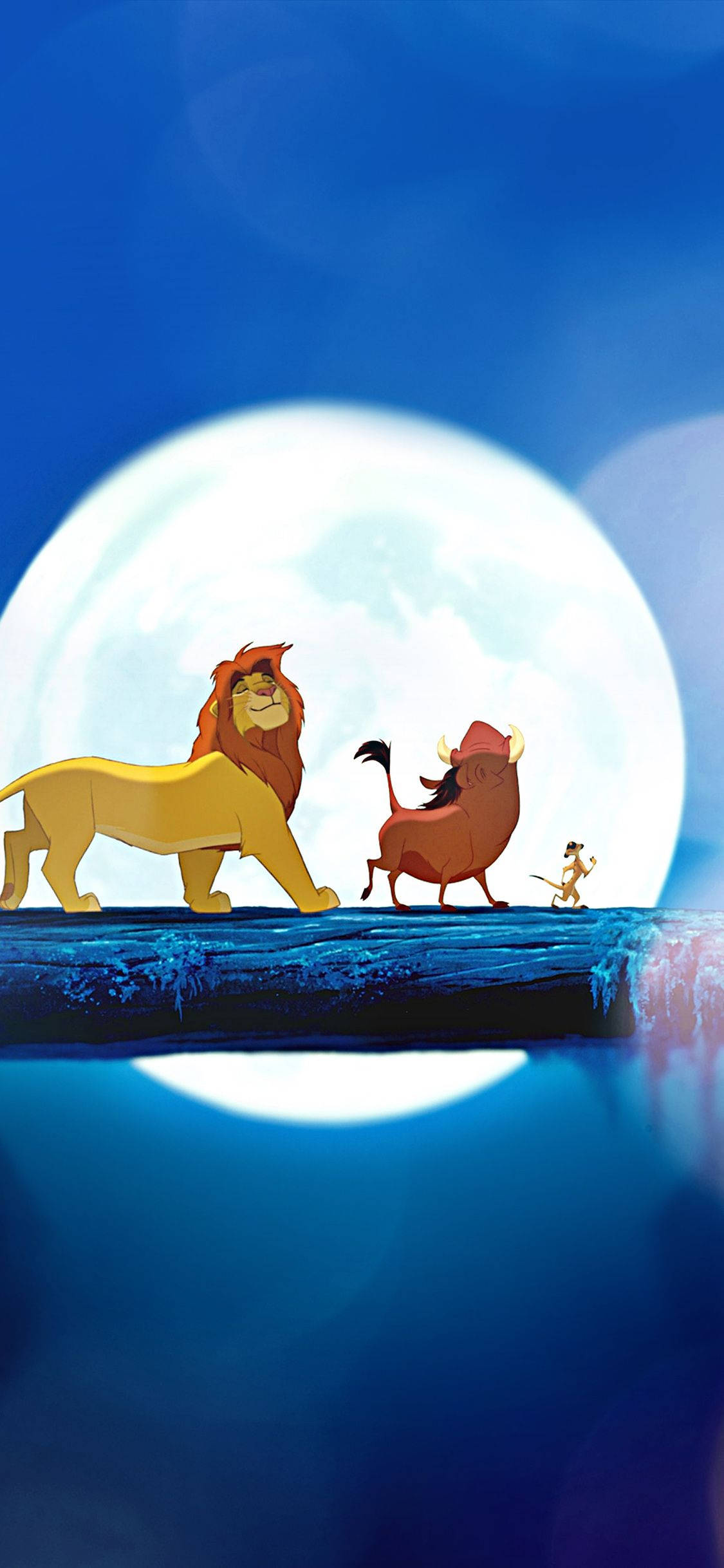 Simba ngắm bình minh trên thảo nguyên Hình nền