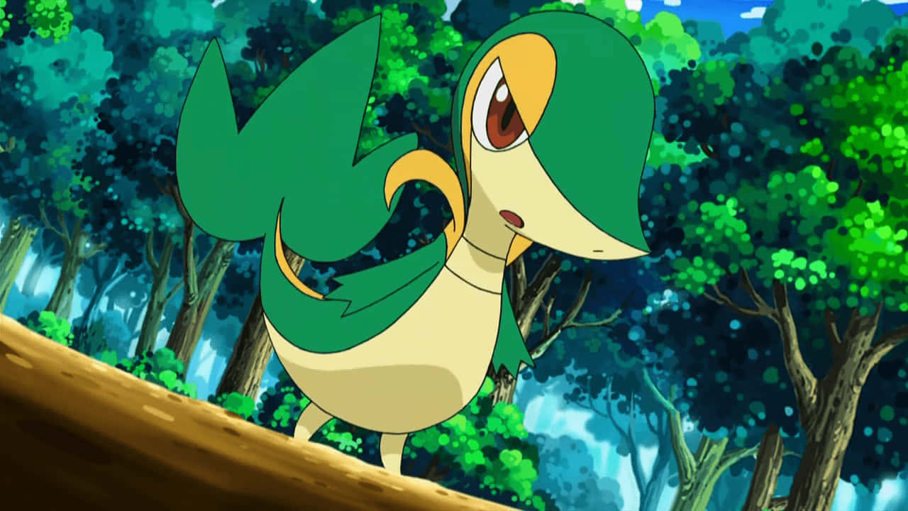 Snivy Nghiêm Túc Hình nền