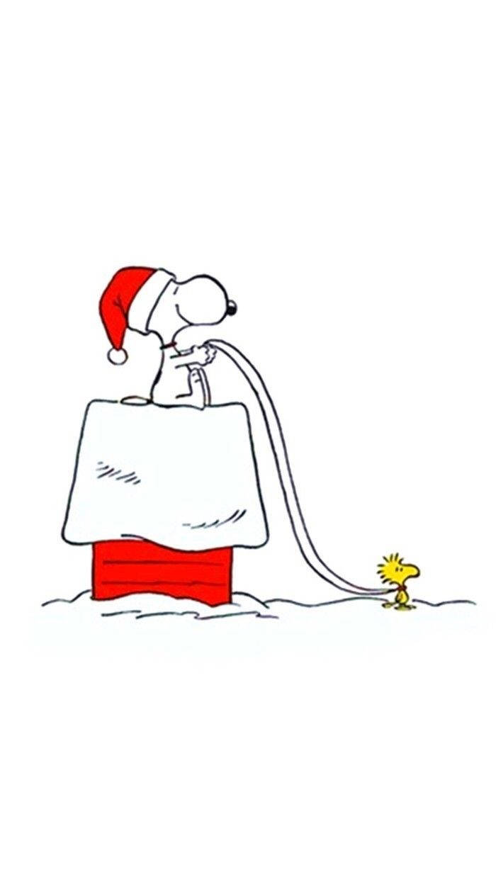 Snoopy Giáng Sinh Trắng Hình nền