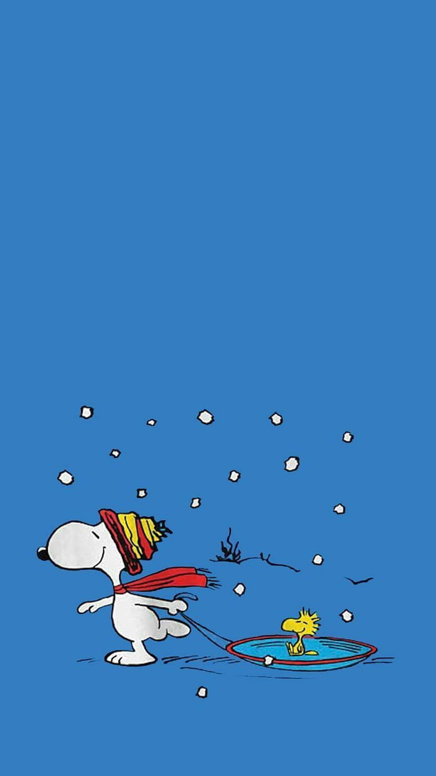 Snoopy Kéo Xe Woodstock Giáng Sinh iPhone Hình nền
