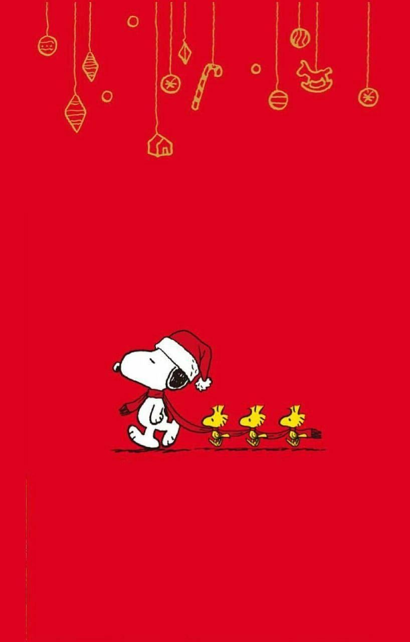 Snoopy Khăn Quàng Đỏ Giáng Sinh Hình nền