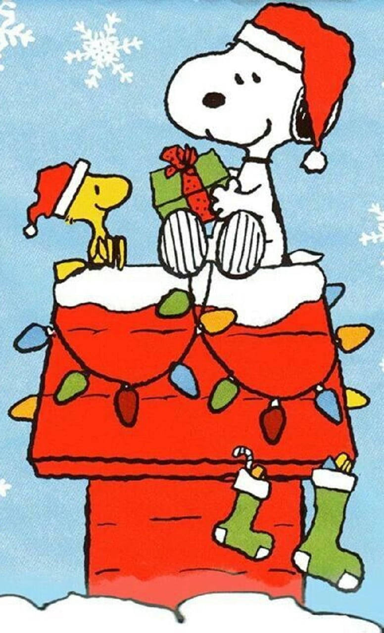 Snoopy Tặng Quà Giáng Sinh Hình nền