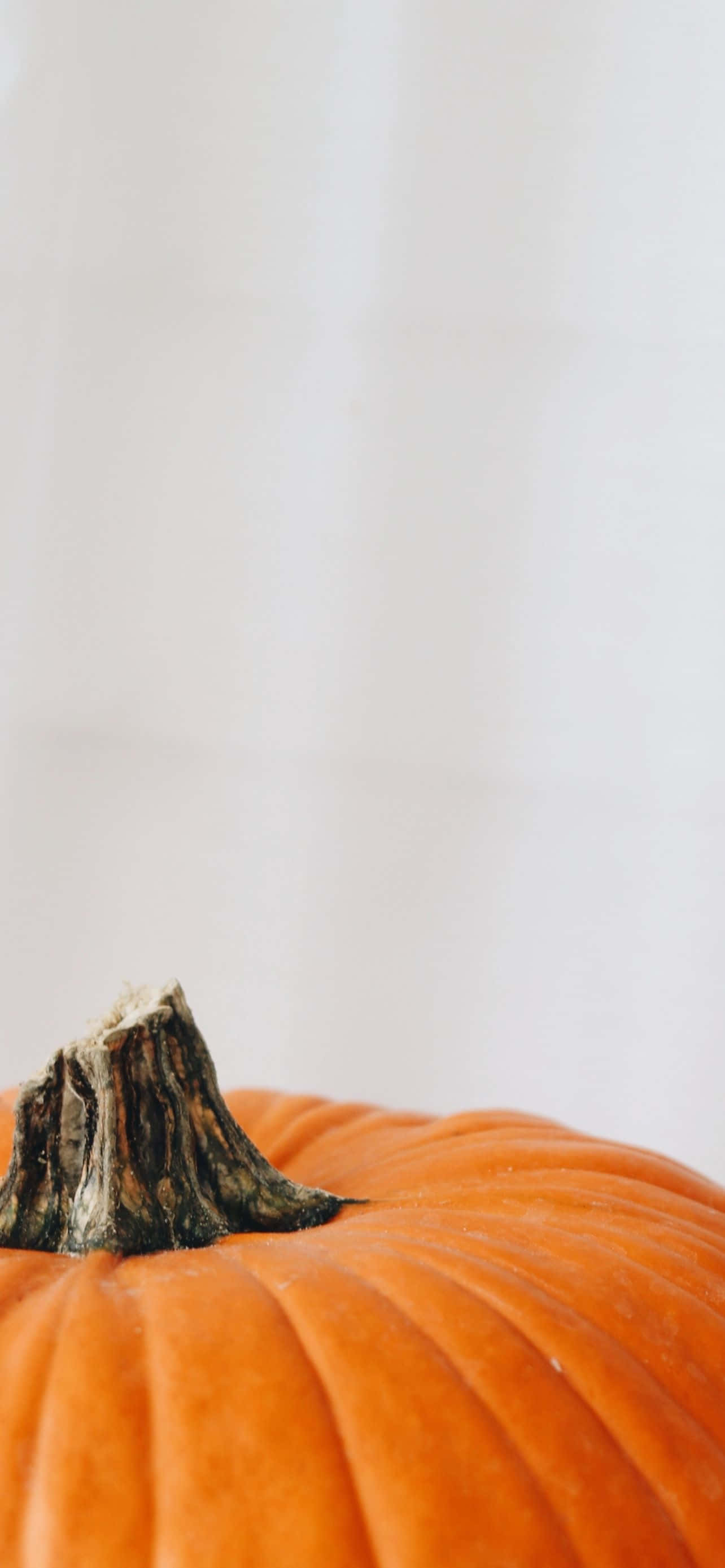 Sở hữu hình nền iPhone ma quái nhất mùa Halloween! Hình nền
