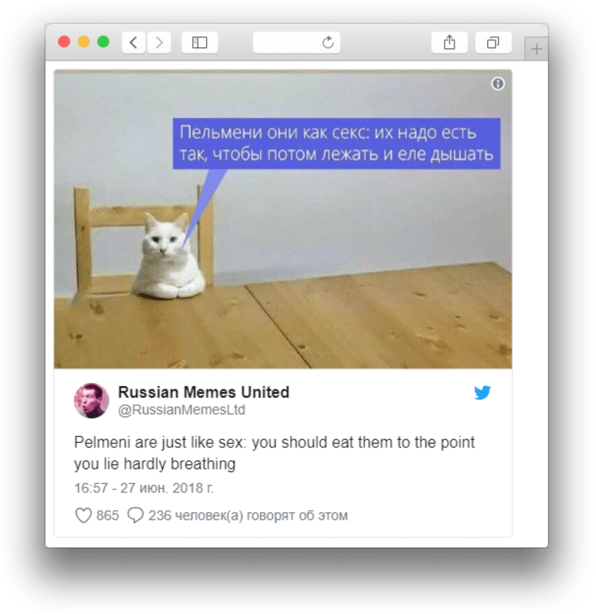 So sánh mèo Nga meme Pelmeni Hình nền