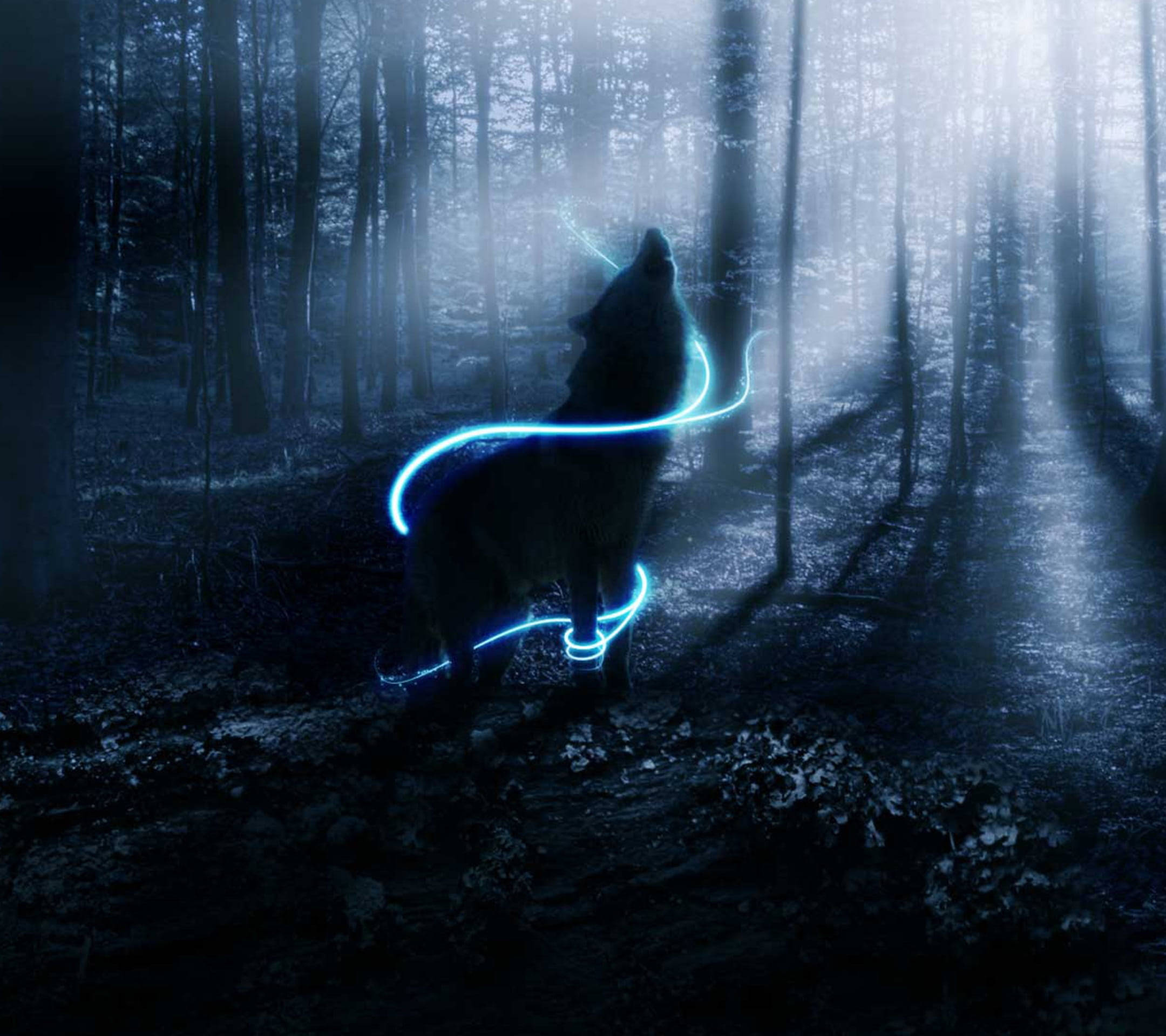 Sói Anime Xanh Neon Trong Khu Rừng Huyền Ảo Hình nền