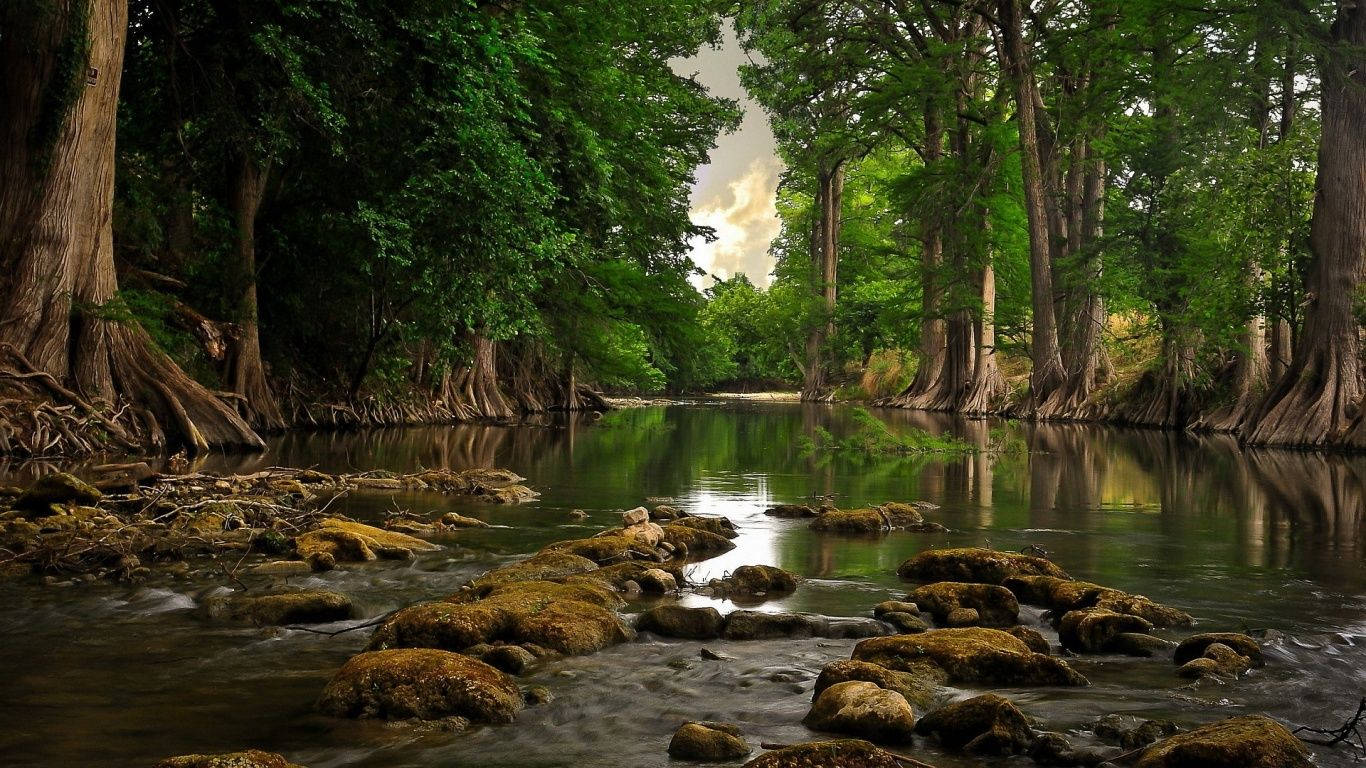 Sông rừng đá Hình nền