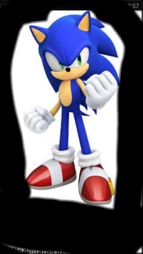 Sonic the Hedgehog tư thế đứng Hình nền