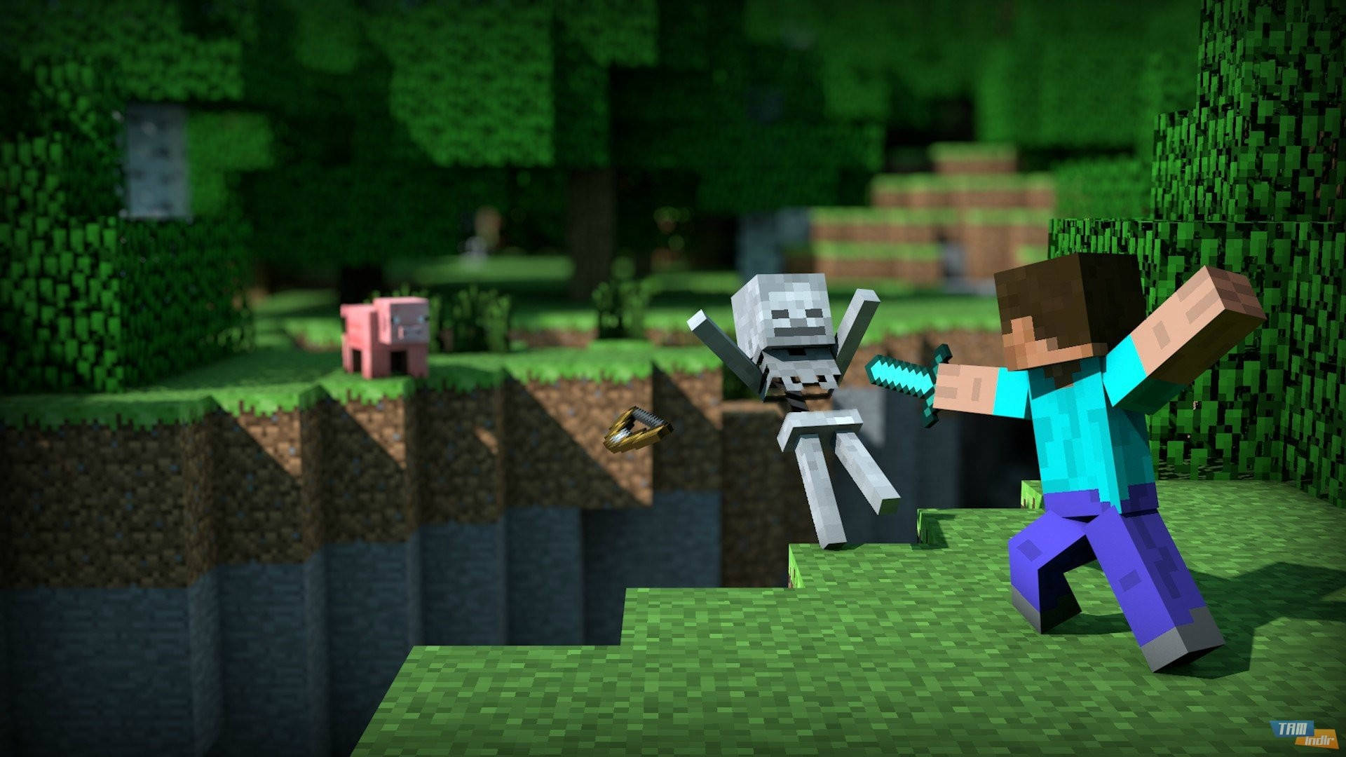 Steve chiến đấu với bộ xương trong Minecraft HD Hình nền