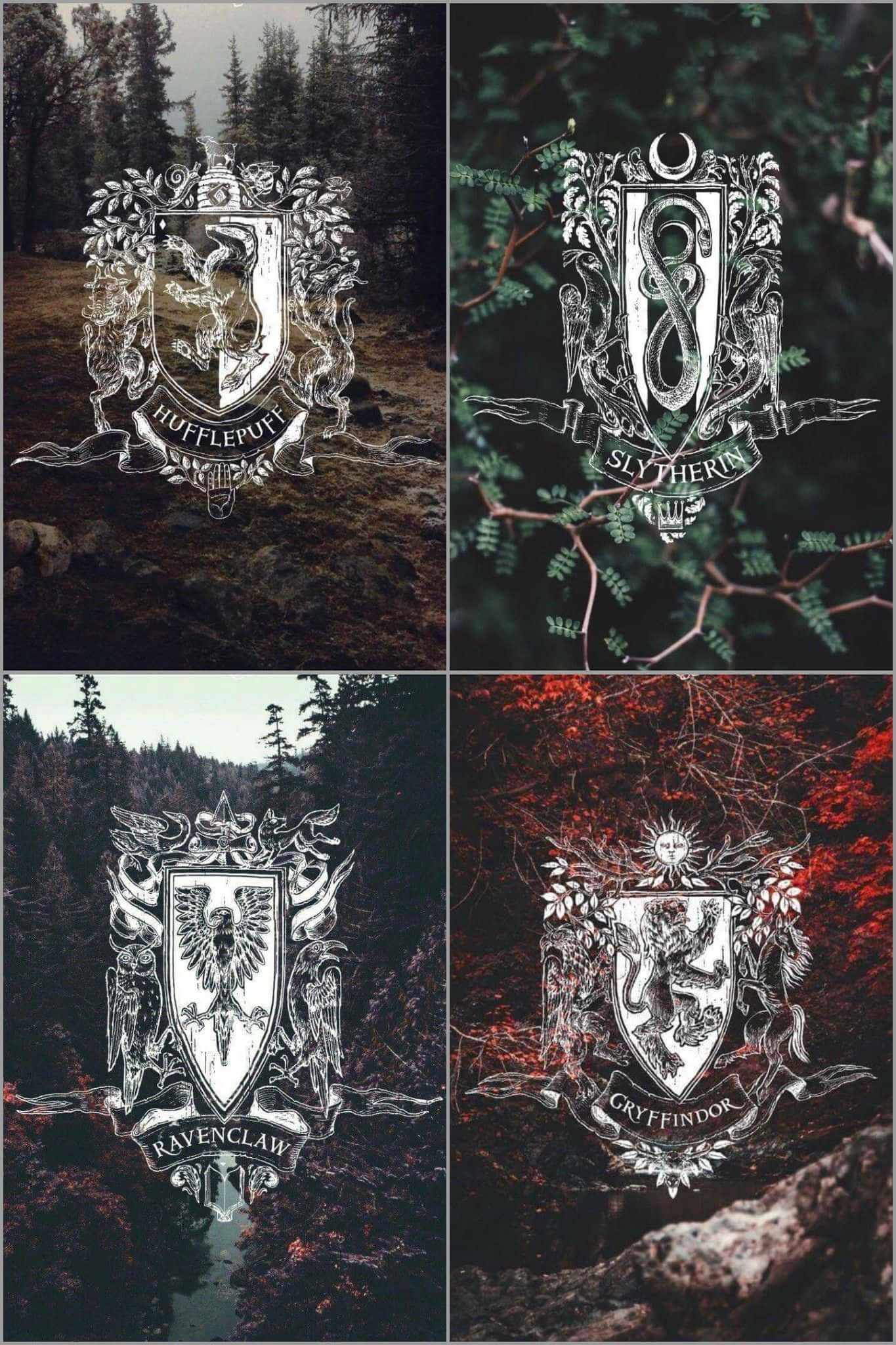 "Sự kỳ diệu của Harry Potter" Hình nền