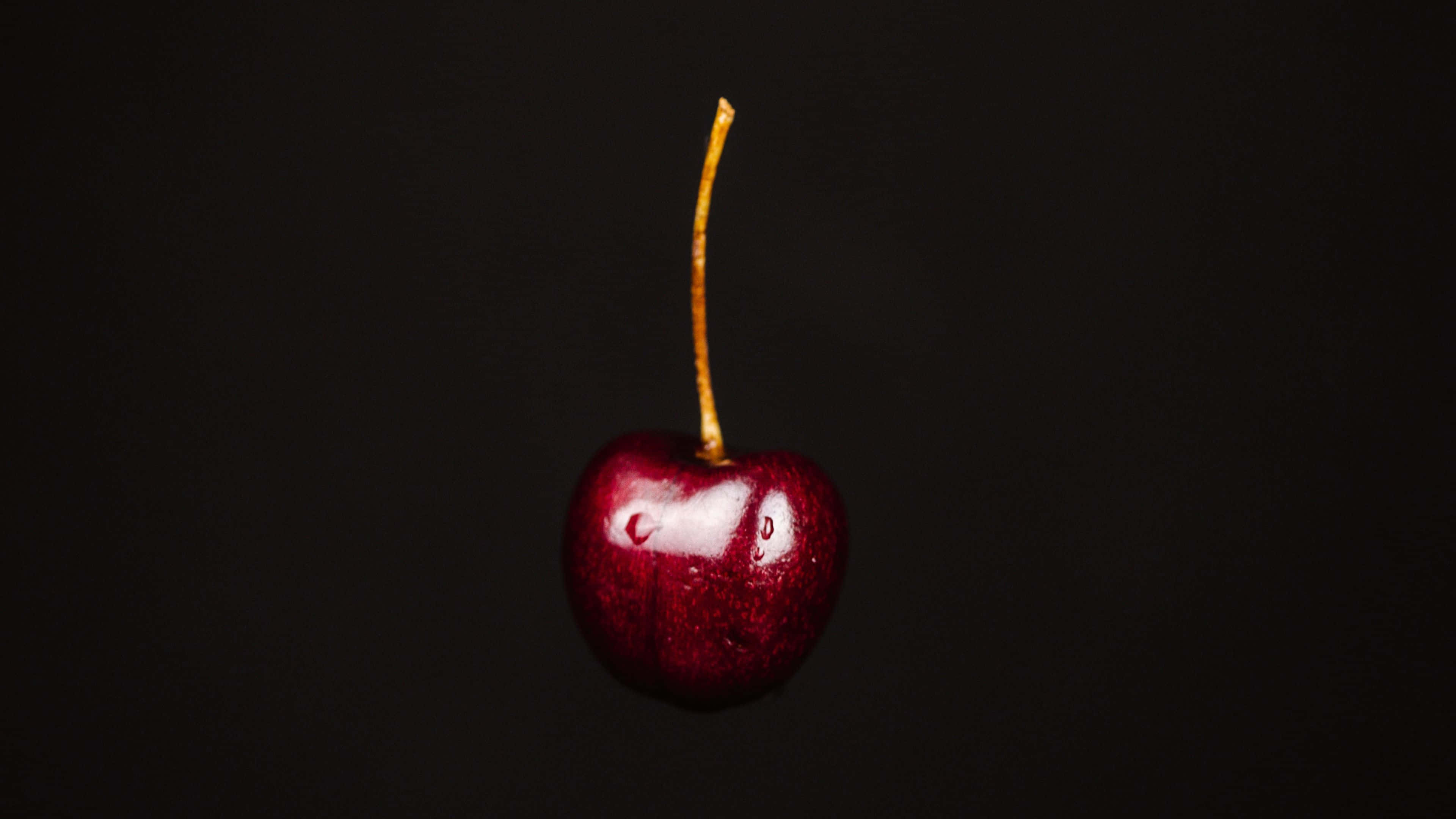 Sự Sống Động Tươi Mới Hình nền