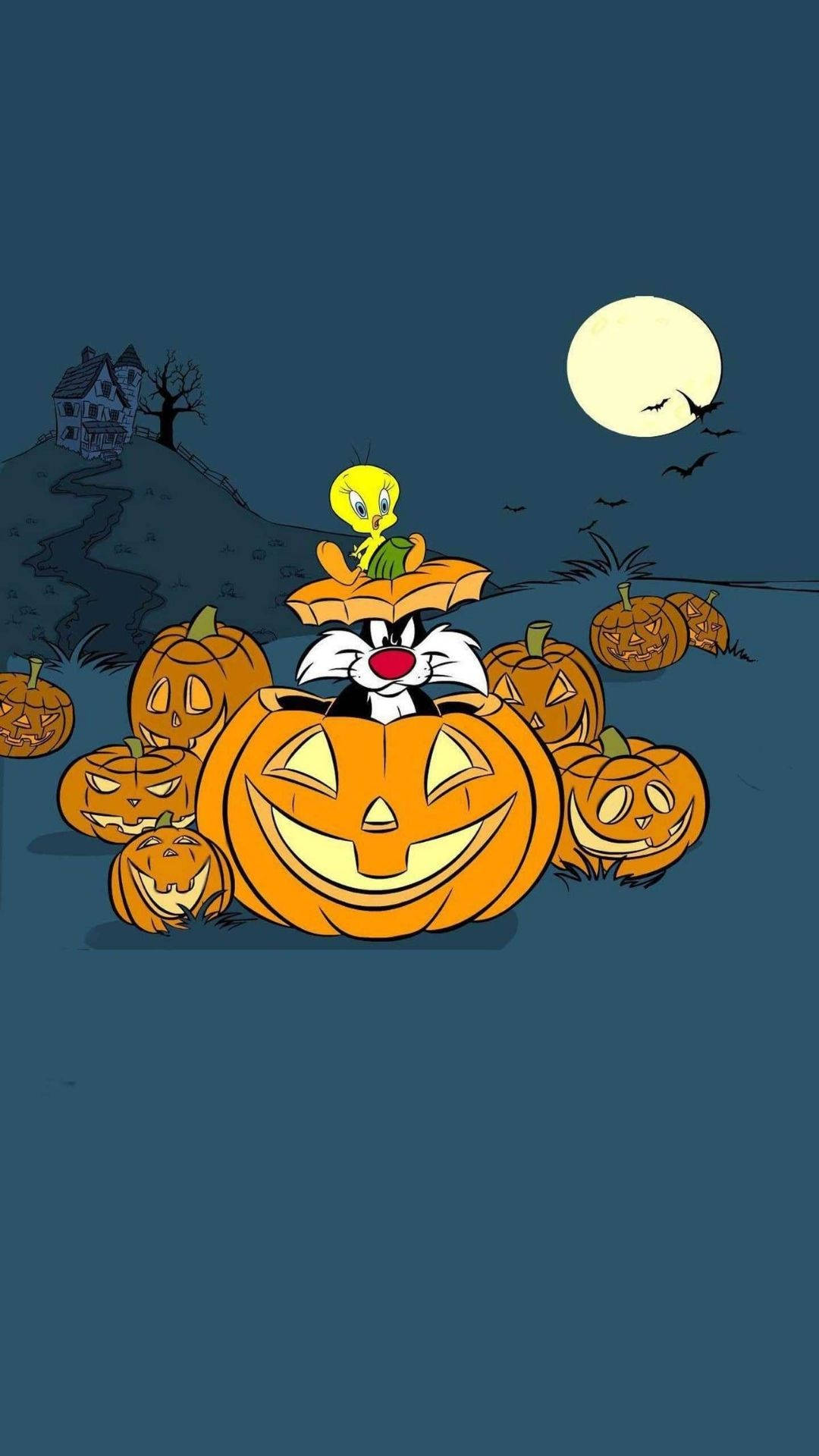 Sylvester Trên Quả Bí Ngô Halloween Hoạt Hình Hình nền