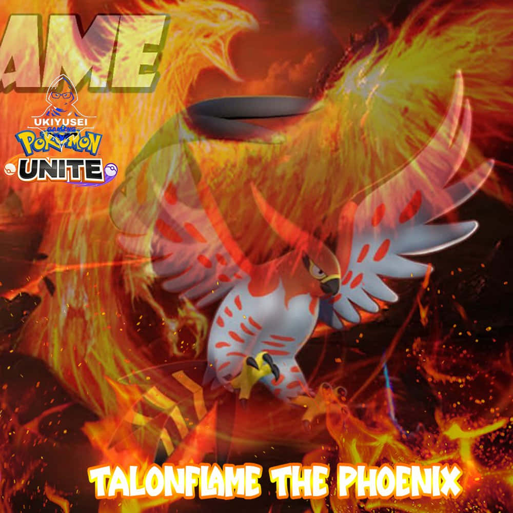 Talonflame Phượng Hoàng Pokemon Unite Hình nền